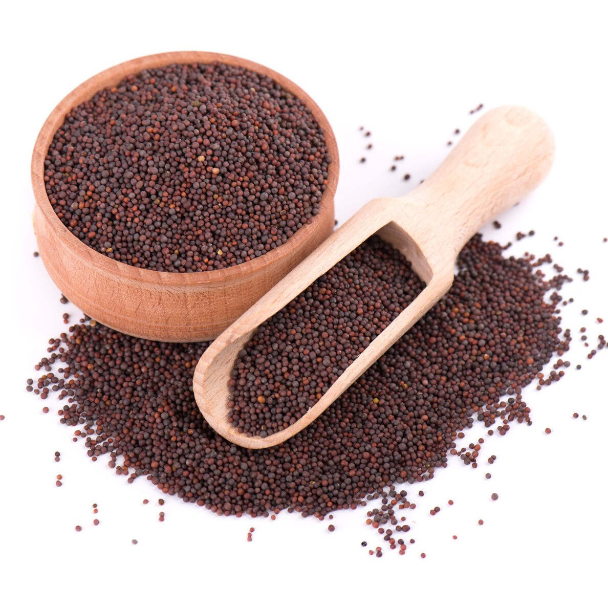 RAJ GLOBAL MUSTARD SEEDS