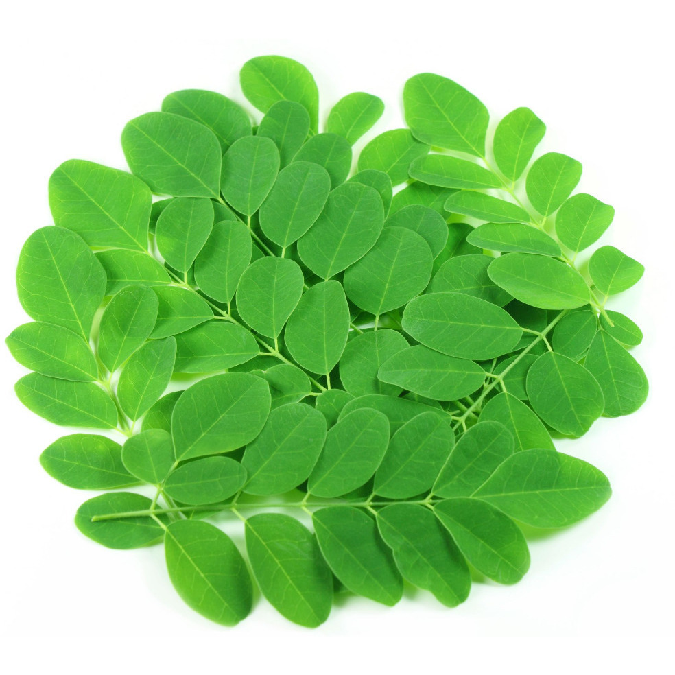Drumstick Leaves (0.25 Lb / 4 Oz)
