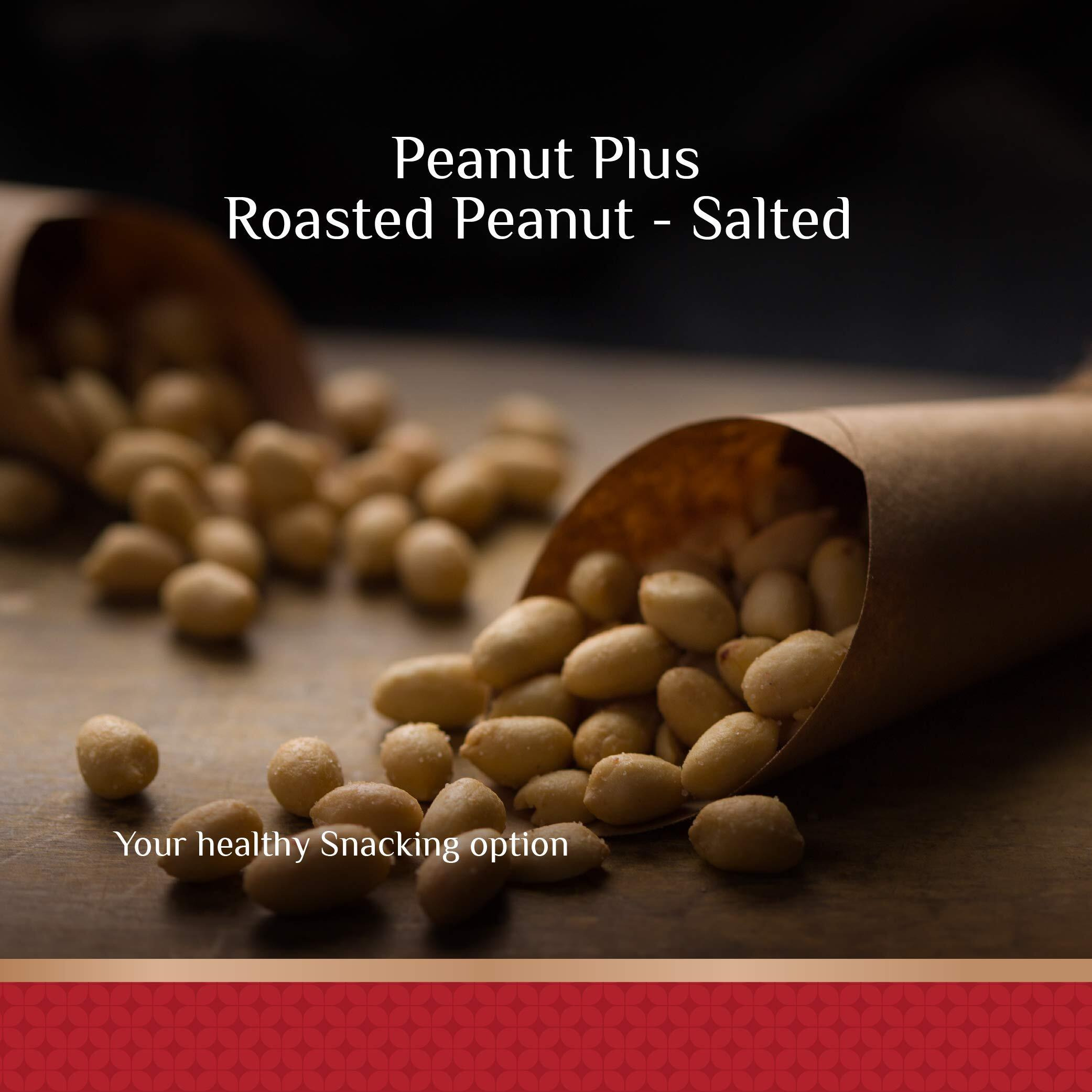 SHREGO Peanut Plus Roasted Peanut Salted 360G, Snack and Namkeen (2X180G Vacuum Packed)