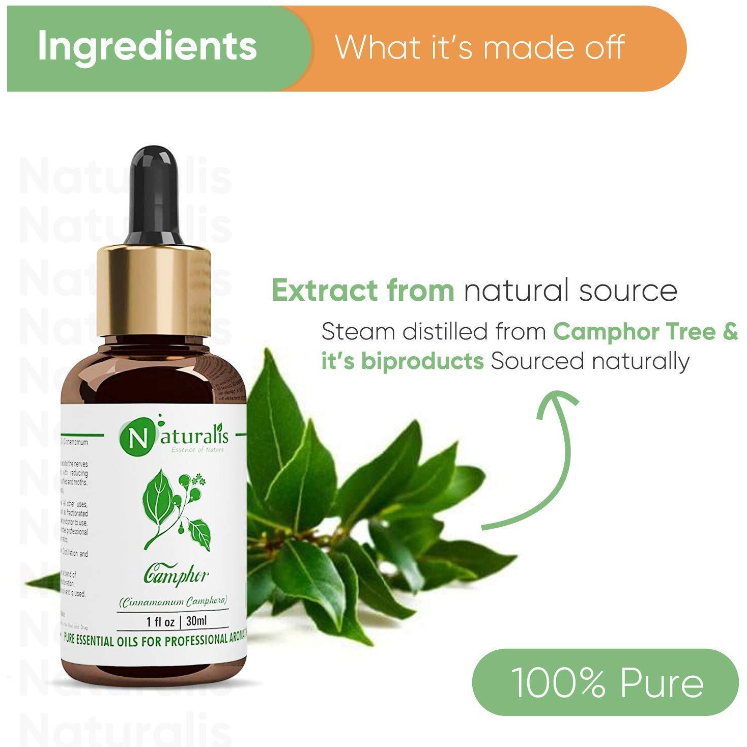 Naturalis Essence of Nature Camphor Essential Oil for Skin & Hair Care - 30ml