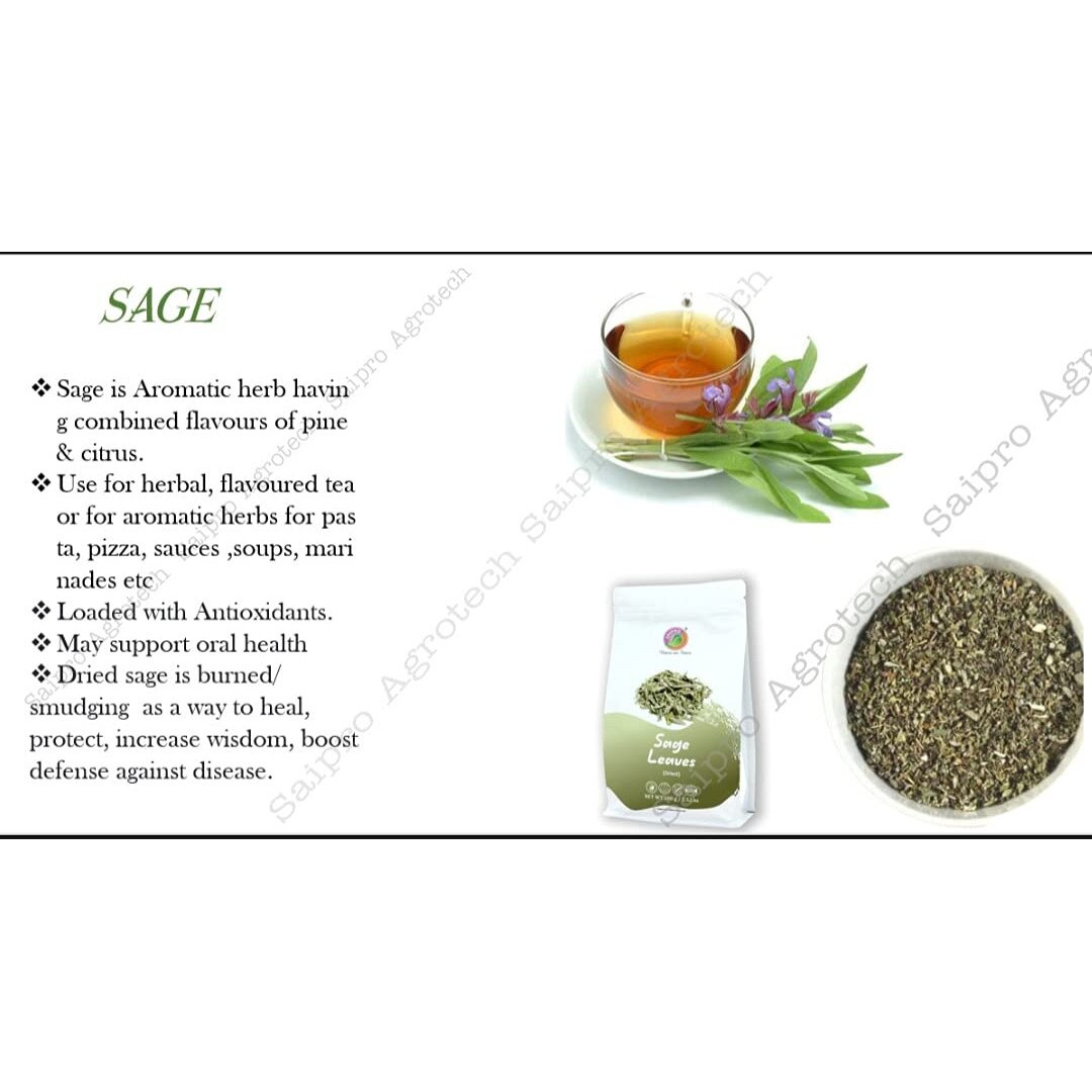 Saipros EATERY HARVEST Crushed Dried Sage, Sage Leaves,100 G, Sage Herb Leaf Spice | Skin |Glow Herbal Iced Tea| Sage| smudging | potpourri, 100% Natural