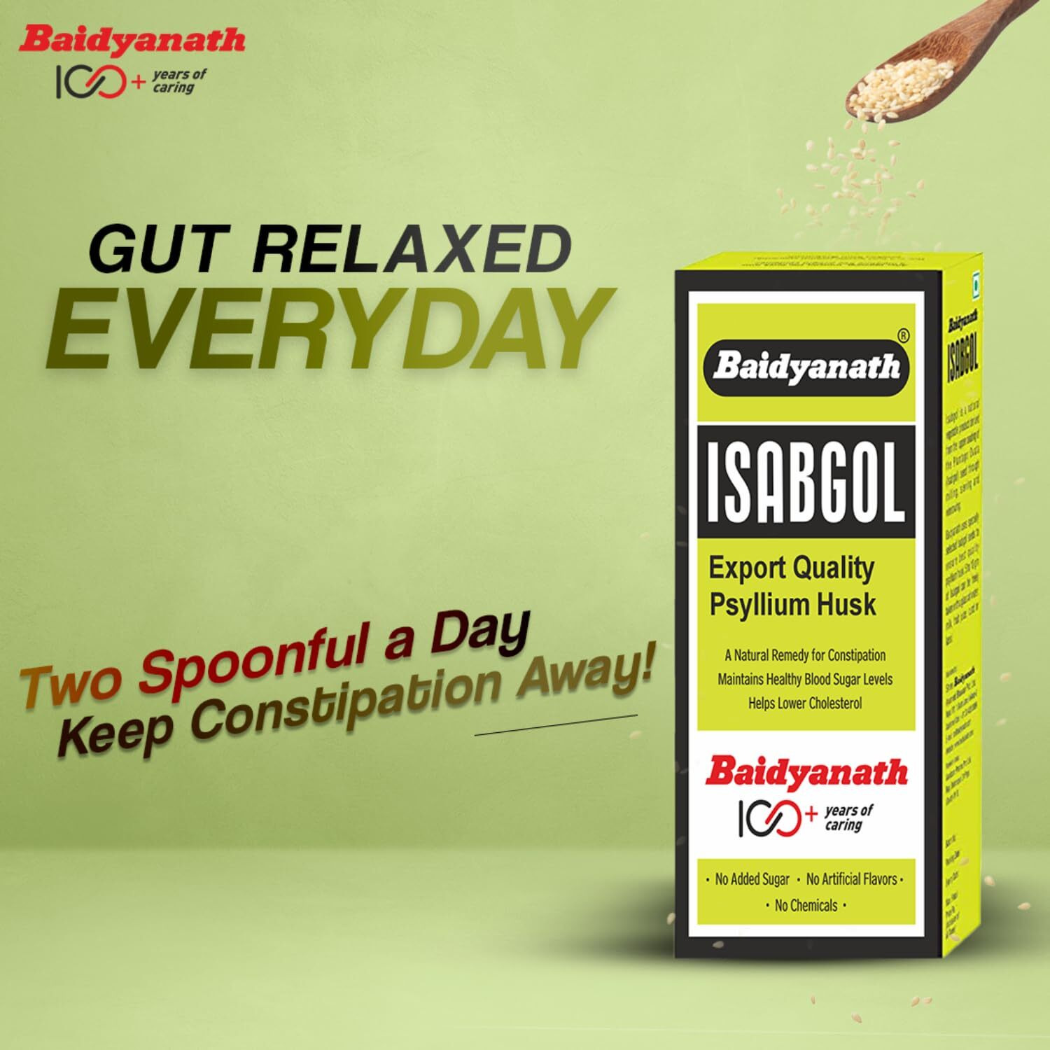 Baidyanath Vansaar Isabgol - Psyllium Husk Powder - 200gm | Effectively Relieves Constipation | Fibre Supplement For Digestion