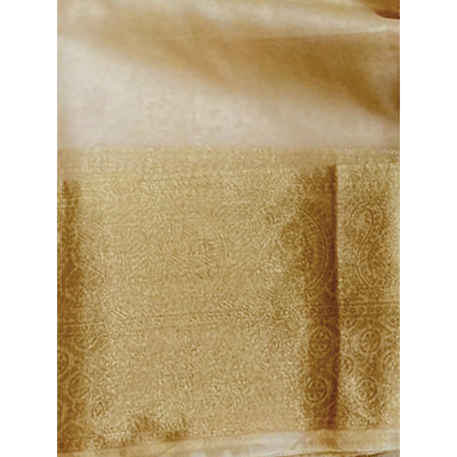 SIRIL Womens Zari Patta Organza Saree with Unstitched Blouse Piece (3276S253_Cream)