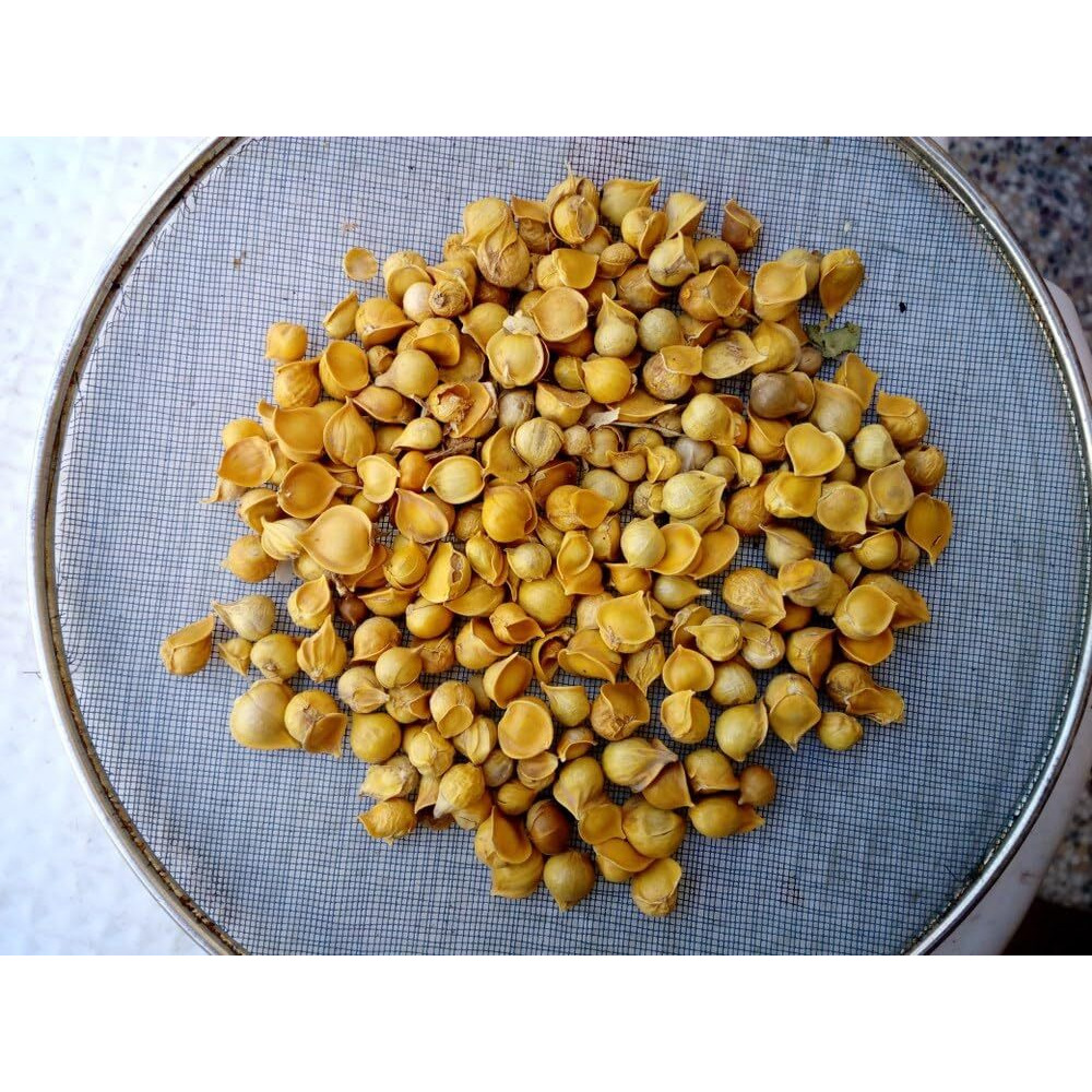Bay Nut Kashmiri Lehsun 100g - Kashmiri Lehsun - Fresh and 100% Natural - Organics Kashmiri Lehsun for a Rich and Flavorful Experience