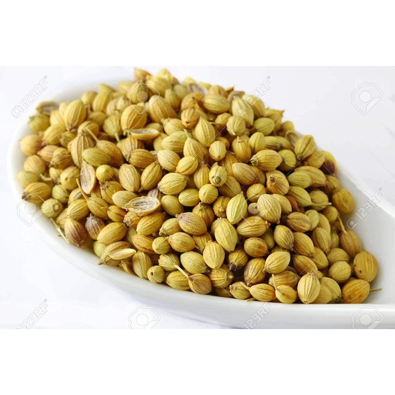 SHAAN-E JAIPUR Coriander Seed/Dhaniya seeds/Kotthmira Vittanalu | Chemical Free & Pesticides Free | Rich Flavour | Coriander Green Dry Seeds (1000 gm)