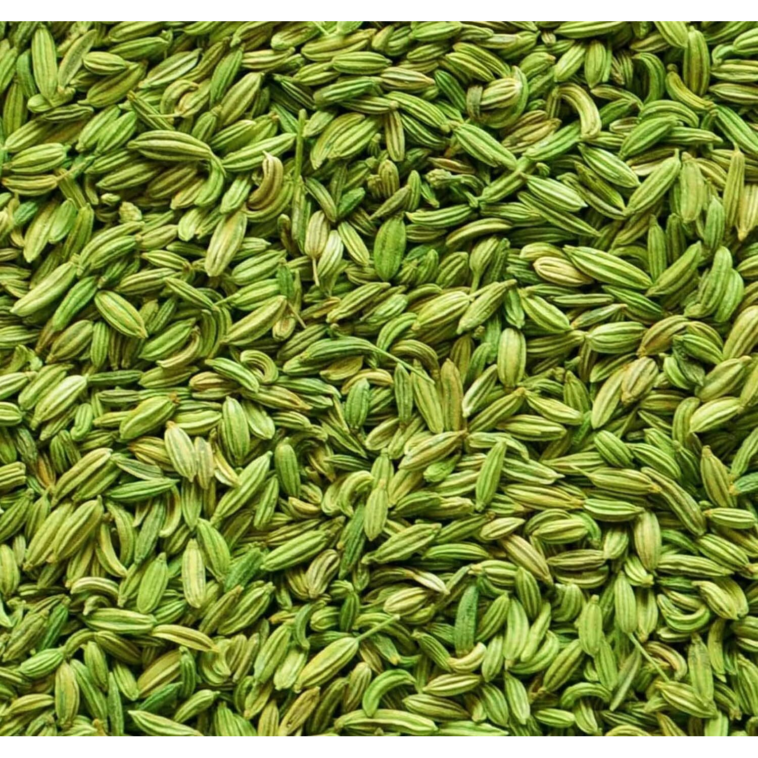 Premium Whole Fennel Seeds (Saunf Moti/Variyali/Mouri/Sompu/Sompulu/Somp/Perumjeerakam), 200g - Fresh and Aromatic | No Preservatives