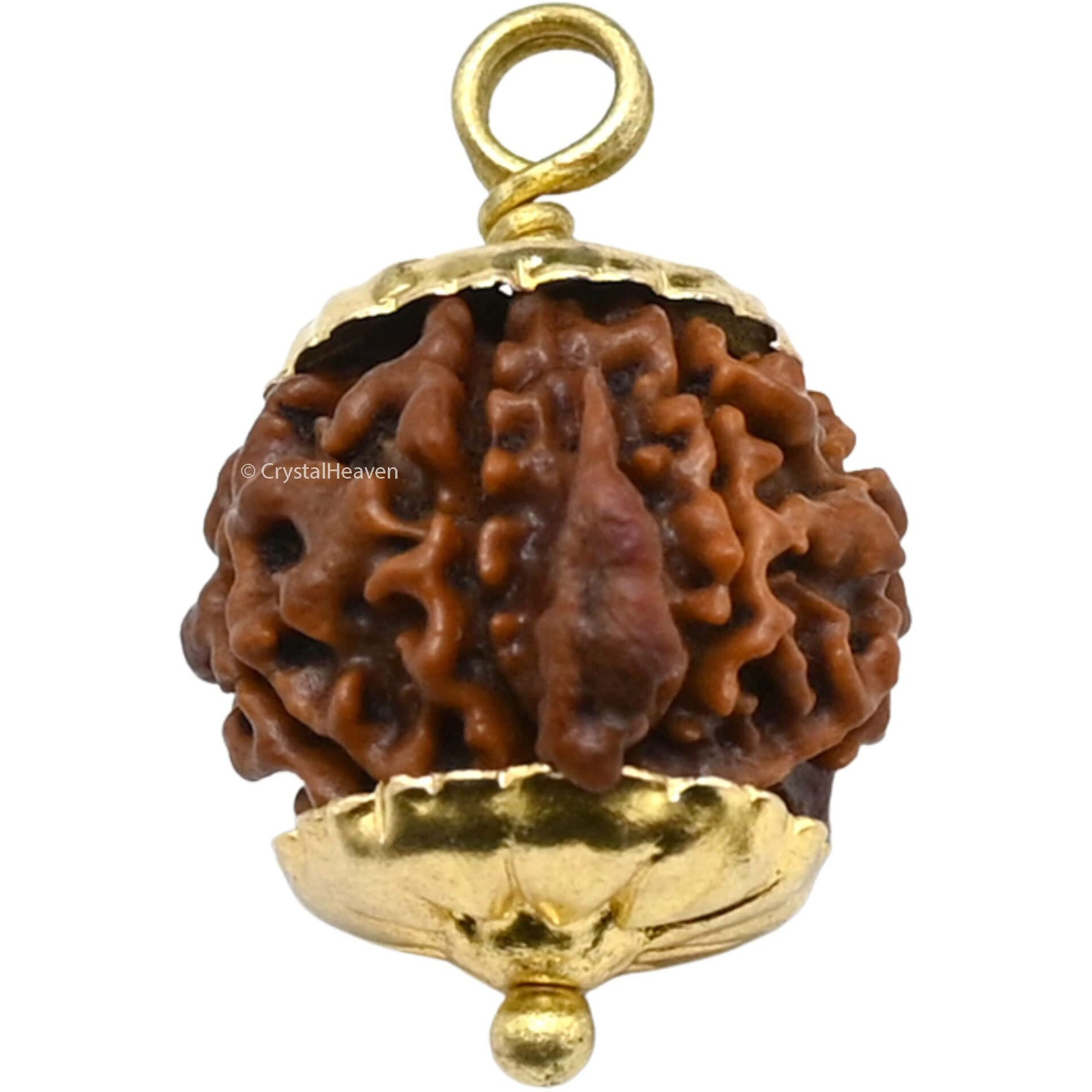 Crystal Heaven Ganesha Rudraksha Original Pendant Necklace for Women Men | Certified Rudraksha with Velvet Pouch (Gold)