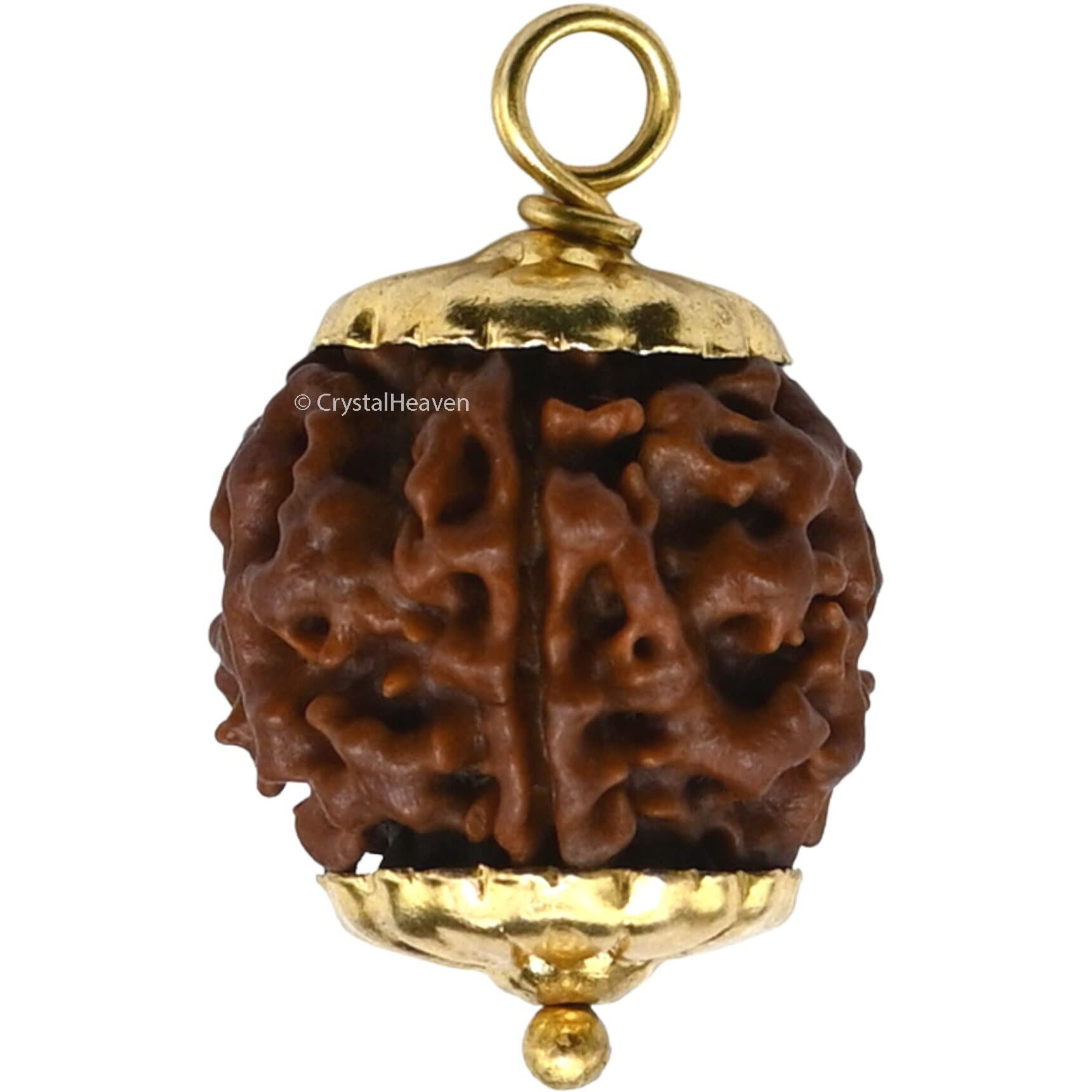 Crystal Heaven Rudraksha Original 5 Mukhi Pendant Necklace for Women Men | Certified Rudraksha with Velvet Pouch (Gold)
