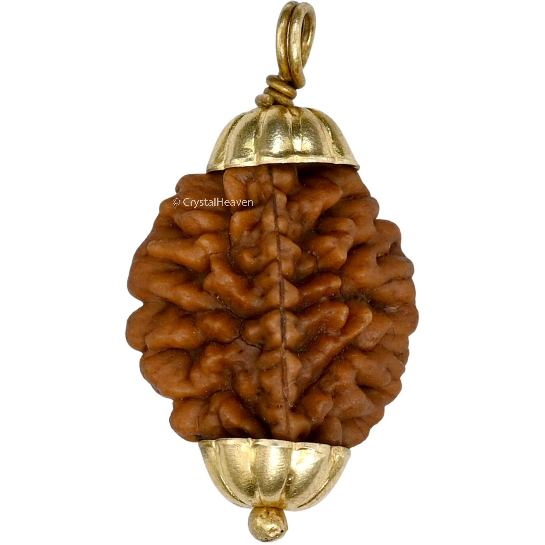 Crystal Heaven Rudraksha Original 2 Mukhi Pendant Necklace for Women Men | Certified Rudraksha with Velvet Pouch (Gold)