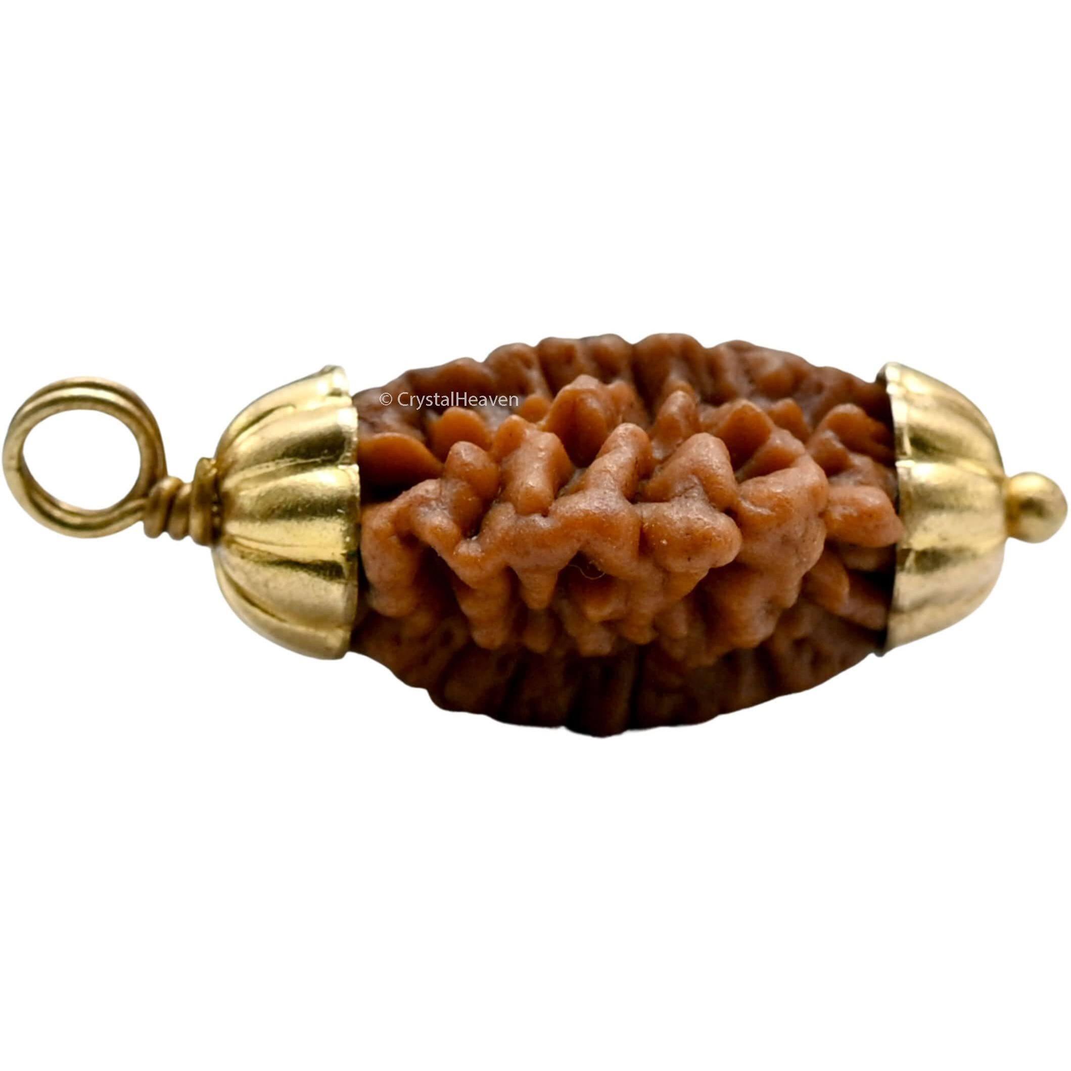Crystal Heaven Rudraksha Original 2 Mukhi Pendant Necklace for Women Men | Certified Rudraksha with Velvet Pouch (Gold)