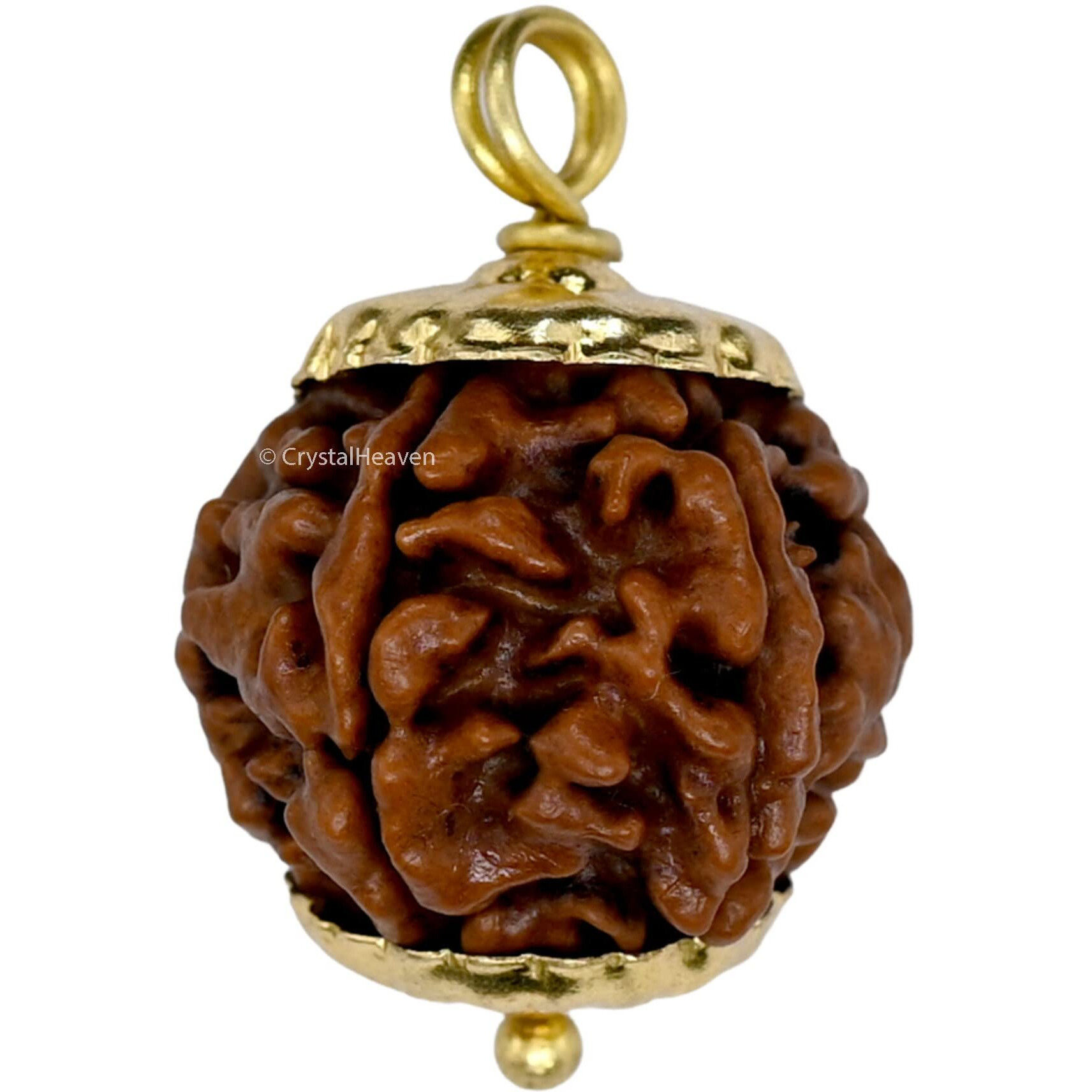 Crystal Heaven Rudraksha Original 6 Mukhi Pendant Necklace for Women Men | Certified Rudraksha with Velvet Pouch (Gold)