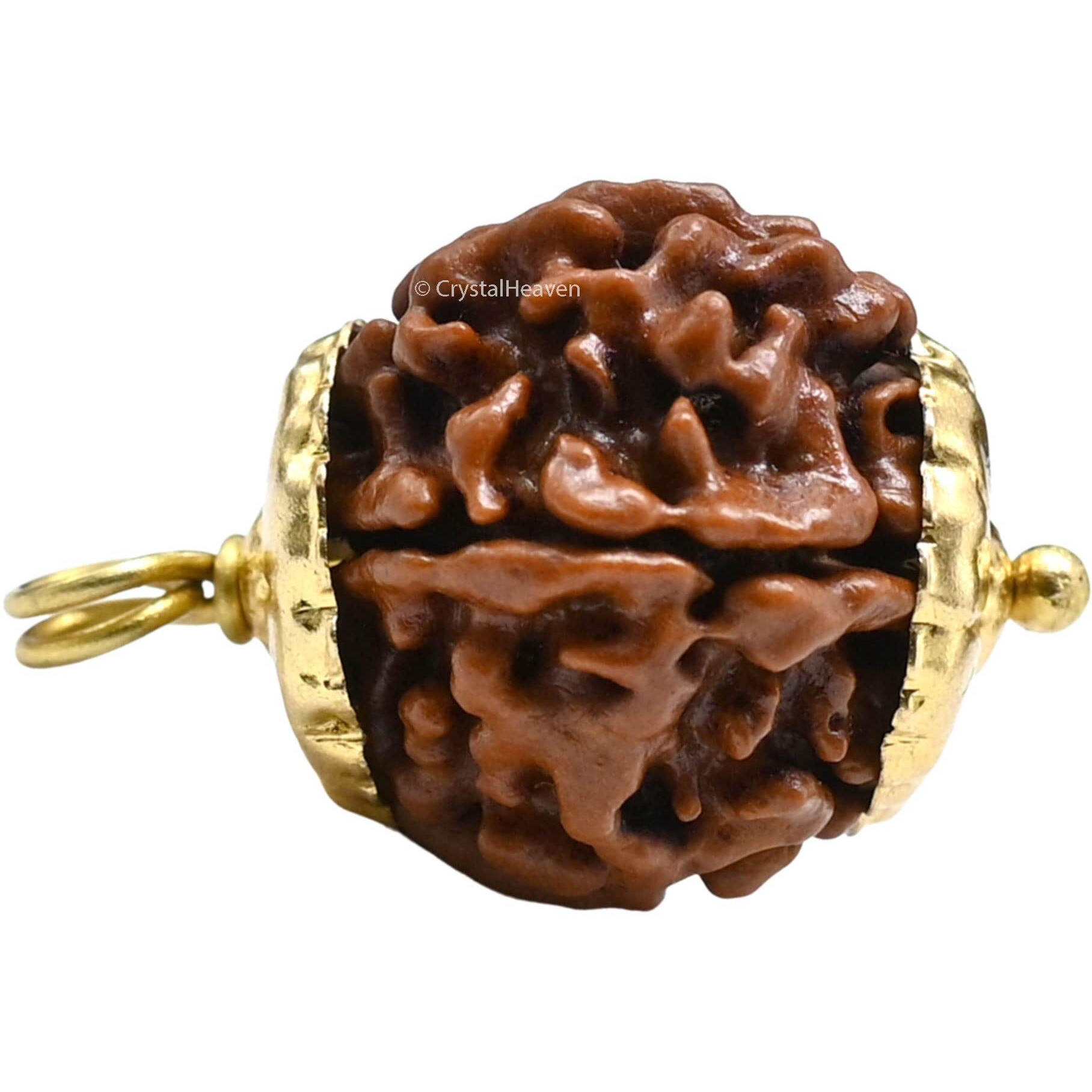 Crystal Heaven Rudraksha Original 6 Mukhi Pendant Necklace for Women Men | Certified Rudraksha with Velvet Pouch (Gold)