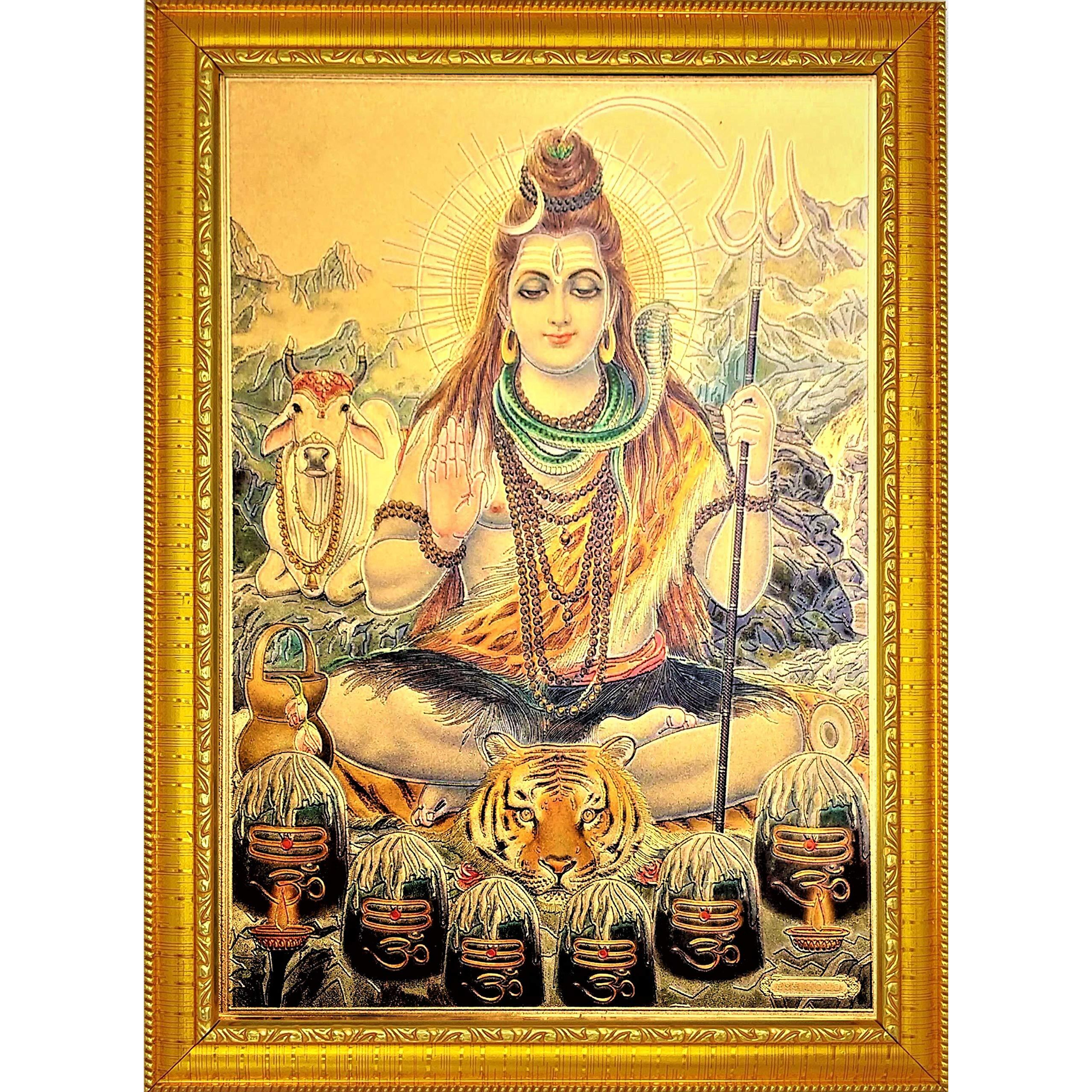 ADA Handicraft Aluminum Plated Wood Photo Frame (35 x 25 x 1 cm, Multicolour)