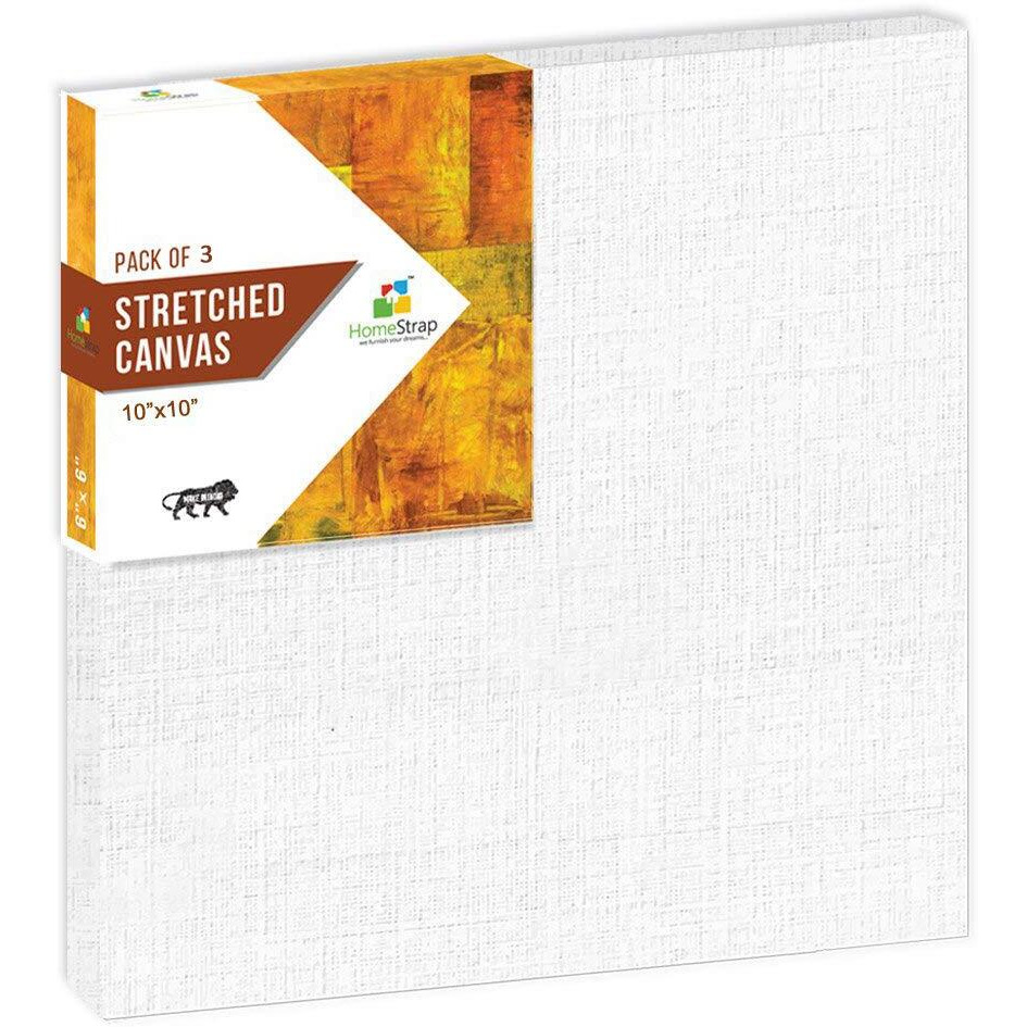 Homestrap Primed Cotton Pre Stretched Canvas with Wooden Frame (White, 10 x 10 Inch (Pack of 3))