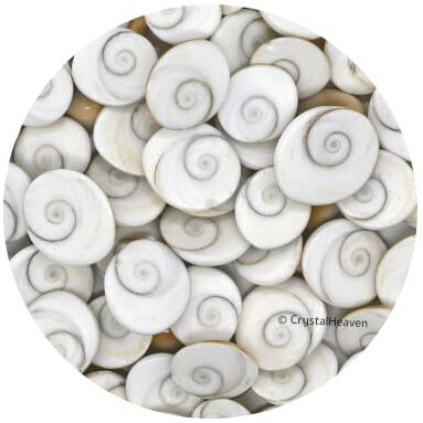 Crystal Heaven Gomati Chakra Original River Stones - 11 Pieces Gomti Chakra Original from Gomathi River Dwarka (11 Pieces)
