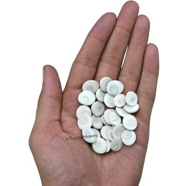 Crystal Heaven Gomati Chakra Original River Stones - 11 Pieces Gomti Chakra Original from Gomathi River Dwarka (11 Pieces)