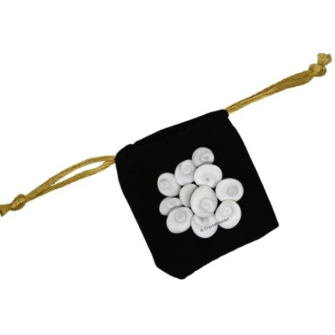 Crystal Heaven Gomati Chakra Original River Stones - 11 Pieces Gomti Chakra Original from Gomathi River Dwarka (11 Pieces)