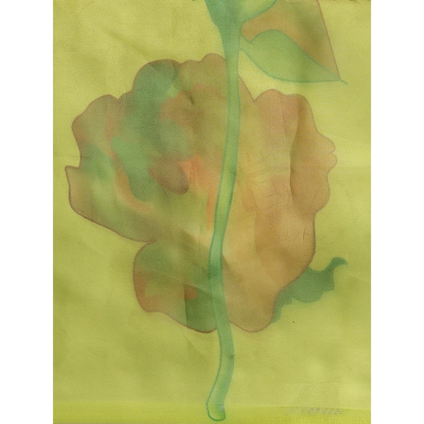 Blissta Womens Lime Green Organza Printed Saree With Unstitched Blouse