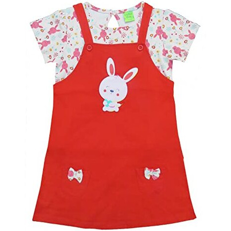 Clothe Funn New Born Knee Length Baby Girl Dress (PeachRed 9-12 Months)