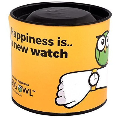 BIGOWL Rakhi Gifts for Sisters, Silver Chain Analog Womens Watch
