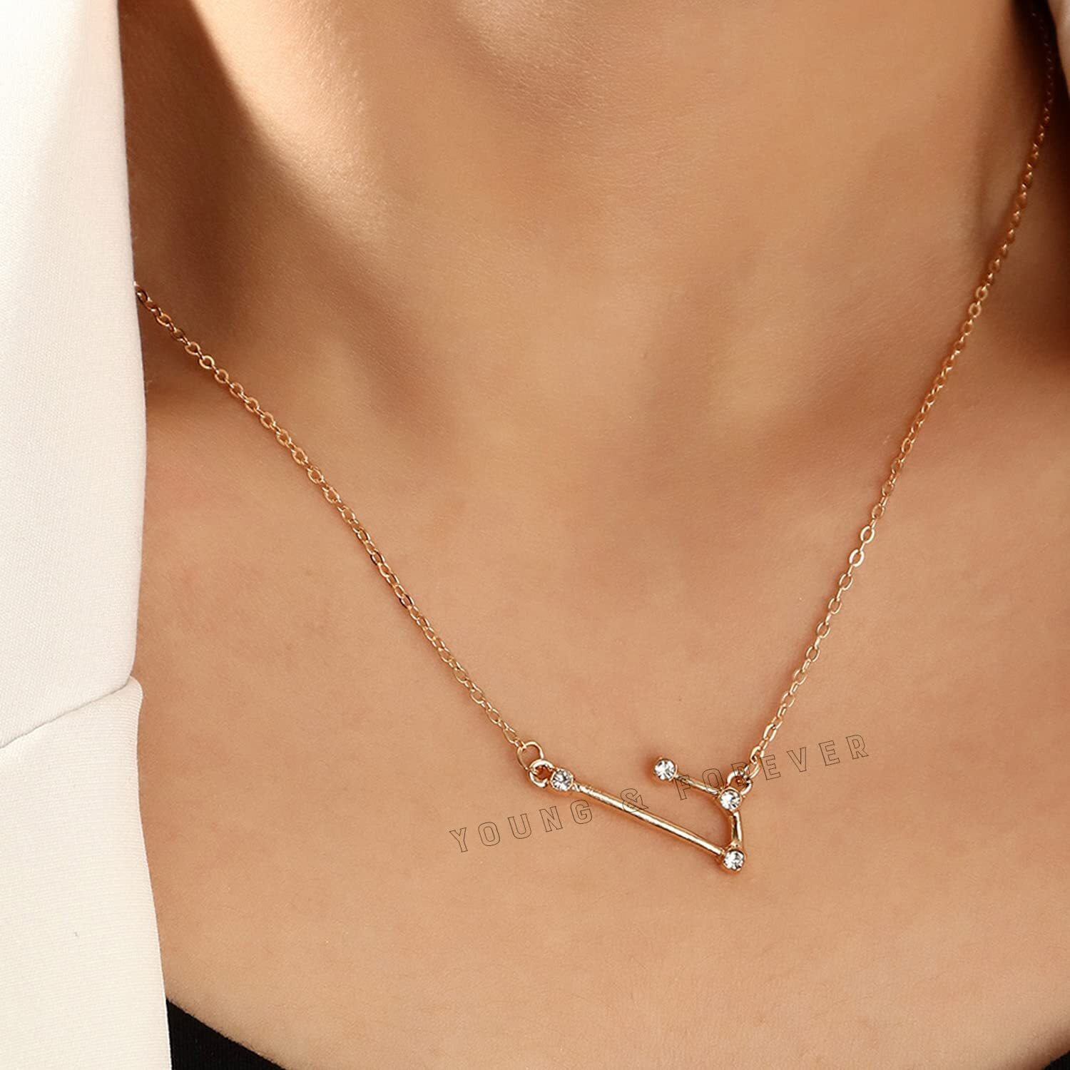 Young & Forever Gift Rakhi Gift Friendship Day Gifts Special 18K Gold Plated Cubic Zirconia Aries Necklace 12 Zodiac Sign Constellation Letter Pendant Necklace for Women Girls, 18 Birthday Gift
