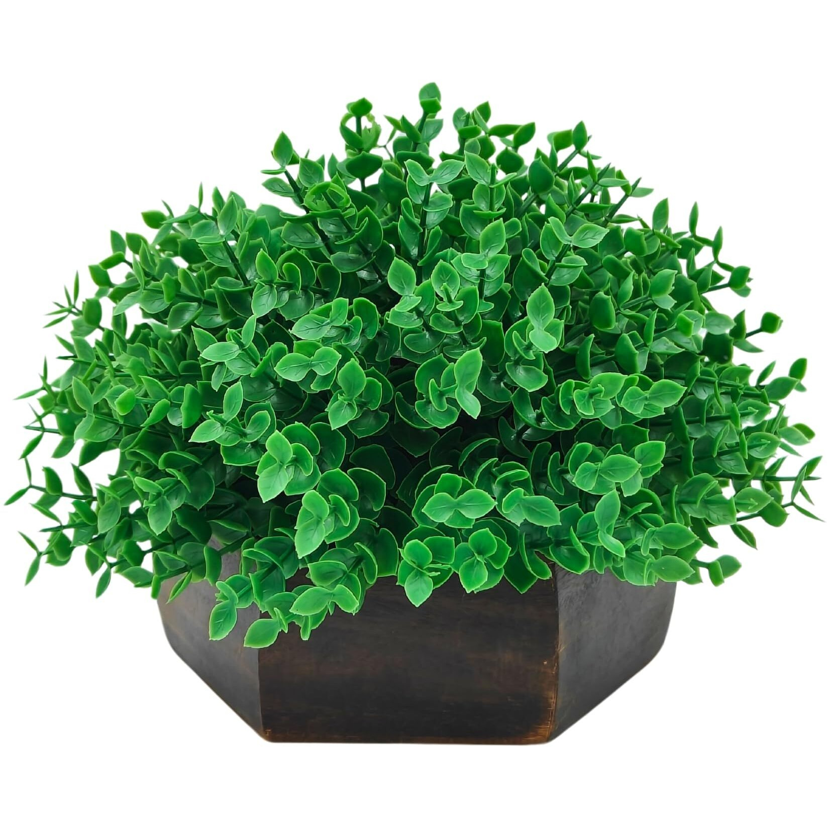 fancymart Artificial Hackleberry Green Plant in Wood Hexagon Pot - 15cm Height - Home & Office Decor Elegant Potted Plant for Tabletop Enhancement