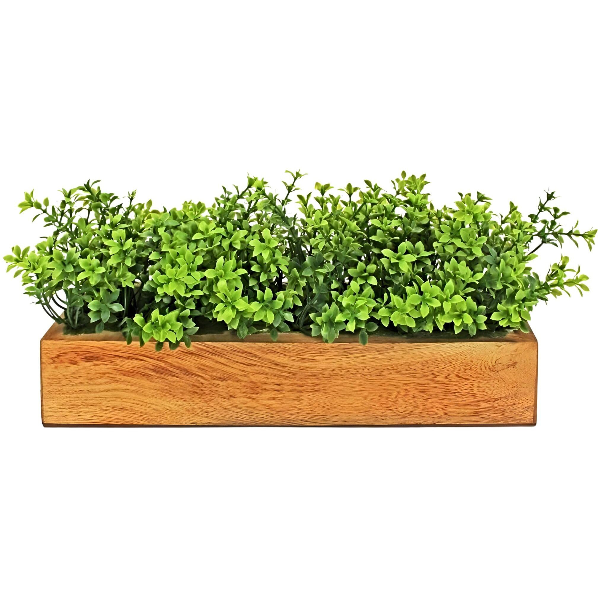 fancymart Artificial Gardenia Plant Bunch in Wood Planter, Home and Office Decor Plants for Decoration, Realistic Green Decorative for Interior, Living Room, Office Desk