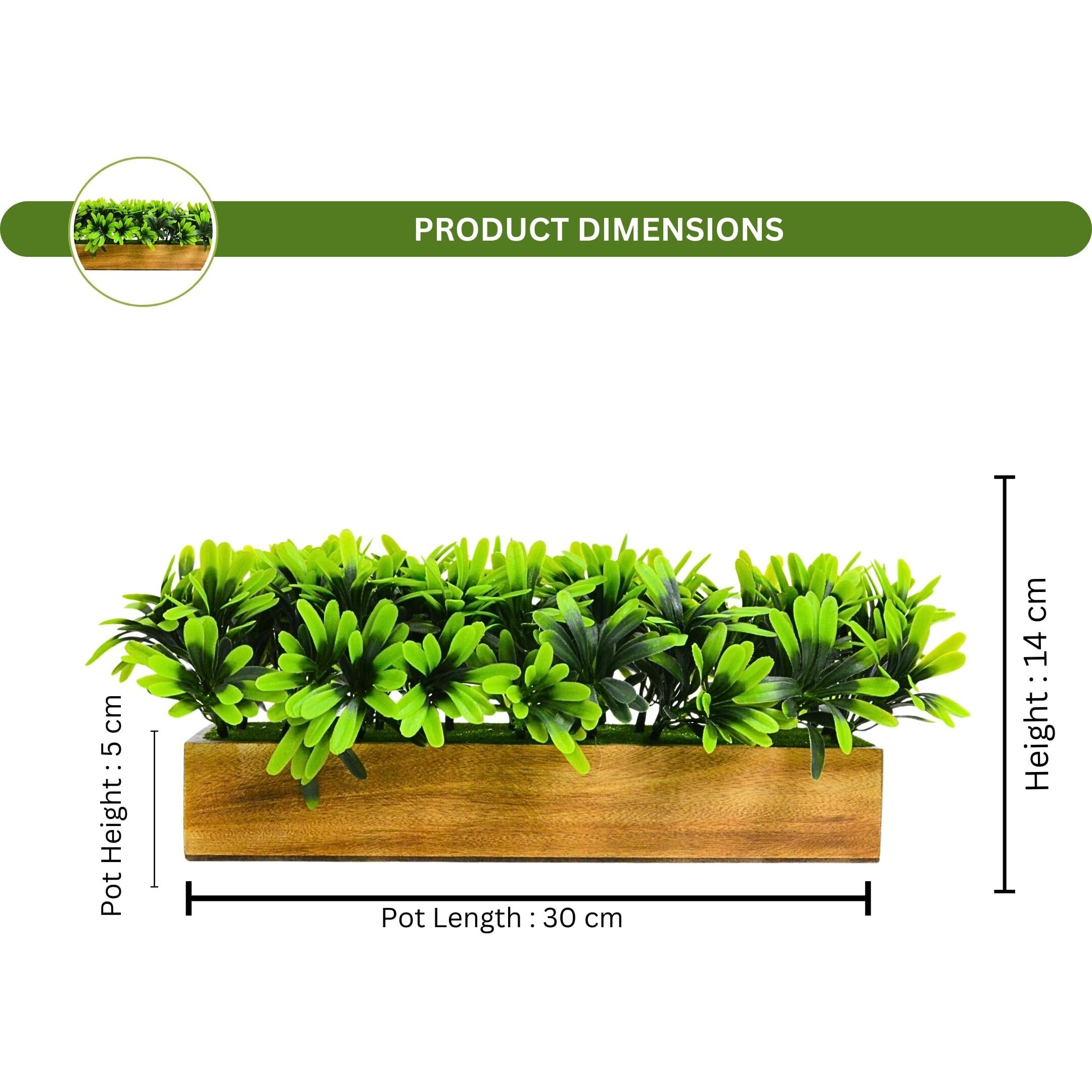 fancymart Artificial Gardenia Plant Bunch in Wood Planter, Home and Office Decor Plants for Decoration, Realistic Green Decorative for Interior, Living Room, Office Desk -8133