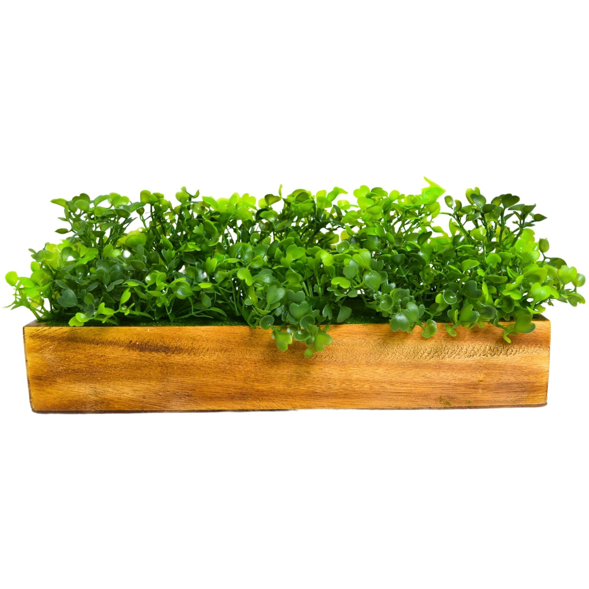 fancymart Artificial Gardenia Plant Bunch in Wood Planter, Home and Office Decor Plants for Decoration, Realistic Green Decorative for Interior, Living Room, Office Desk -8135