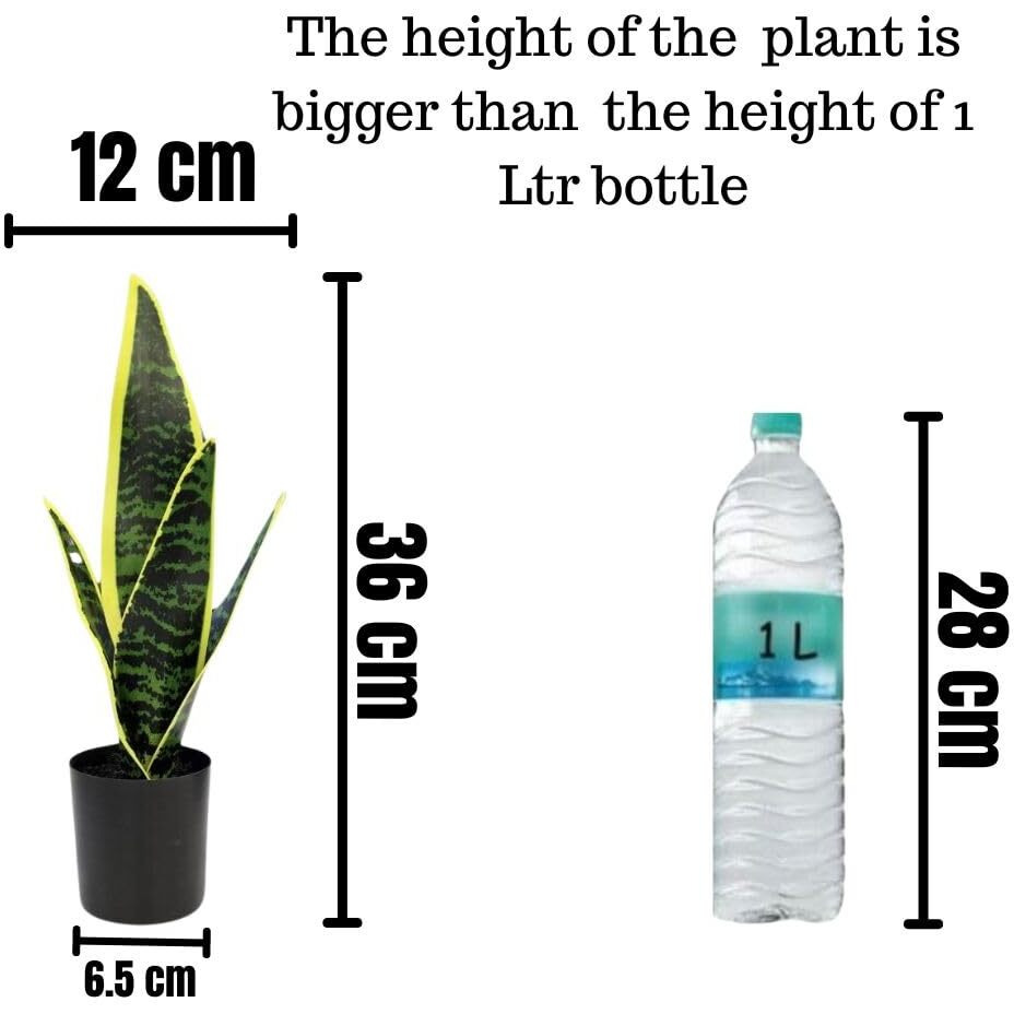 SATYAM KRAFT 1 Pc Artificial Snake Plant with Pot Display for Home Decor, Balcony, Garden, Welcome Decoration Item, Office, Sansevieria flower, Ganpati Decoration, Raksha Bandhan(with pot)(color 5)