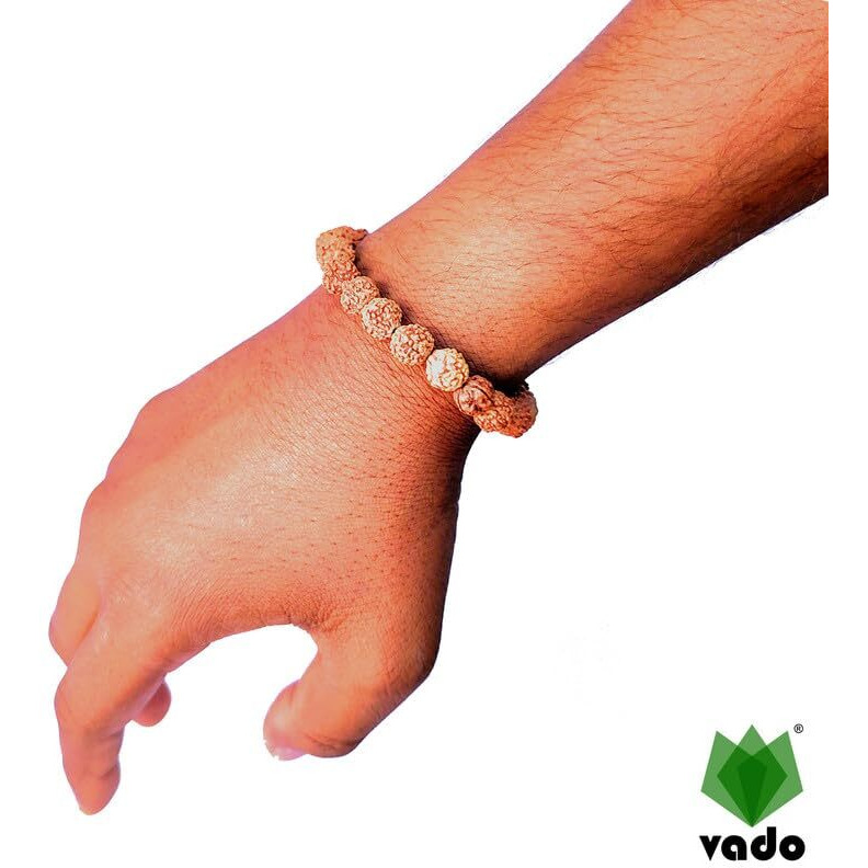 Vado Rudraksha Bracelet, Stretchable Energized Wrist Band with 5 Mukhi Natural Rudraksh Beads Pack of 1 (9MM, Brown)