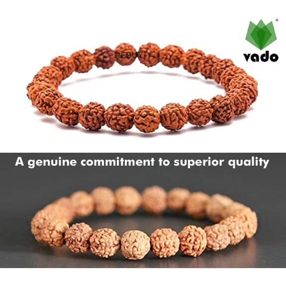 Vado Rudraksha Bracelet, Stretchable Energized Wrist Band with 5 Mukhi Natural Rudraksh Beads Pack of 1 (9MM, Brown)