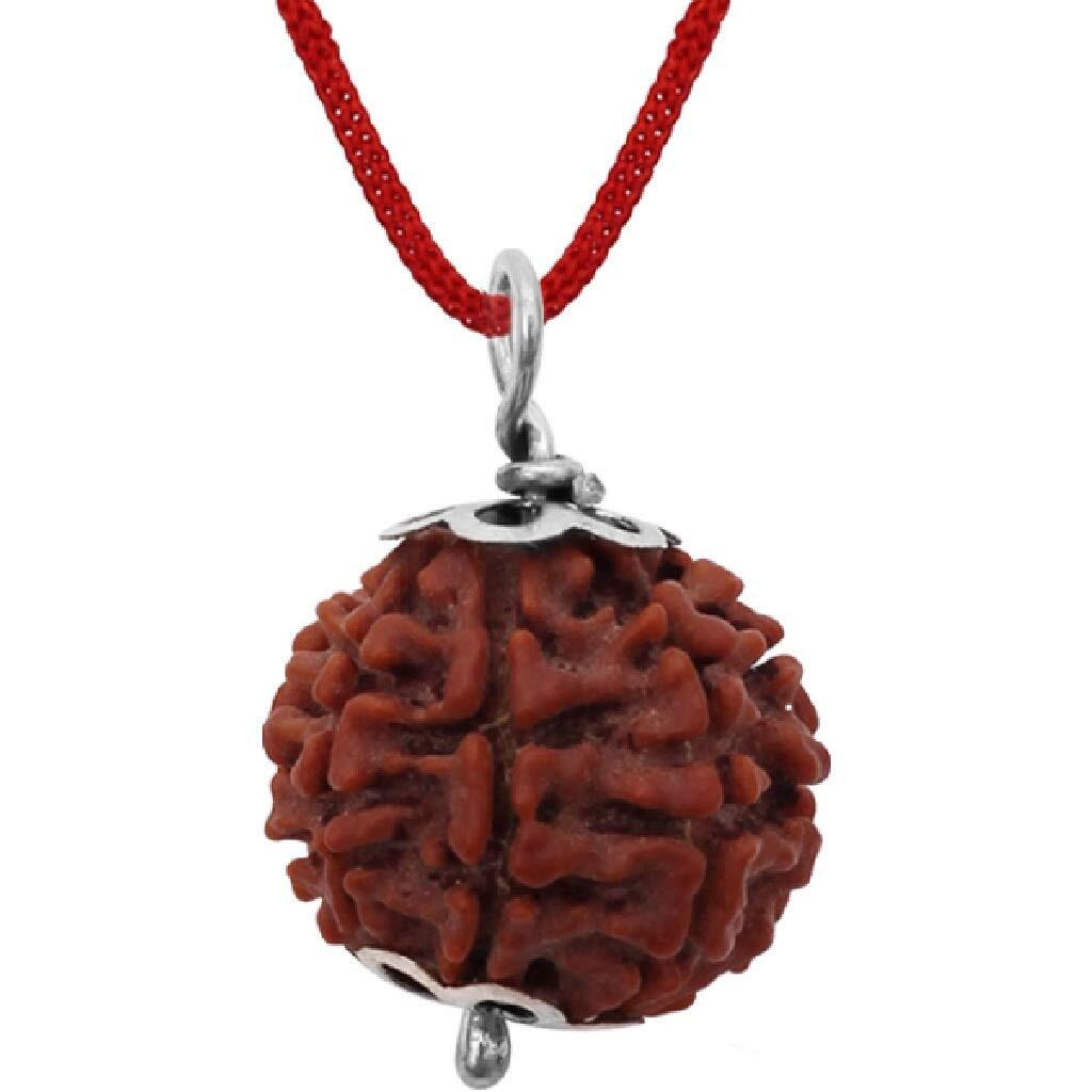 ASTRODIDI Original and Certified 7 Mukhi Rudraksha/Seven Faced Nepali Rudraksh Pendant for Men and Women