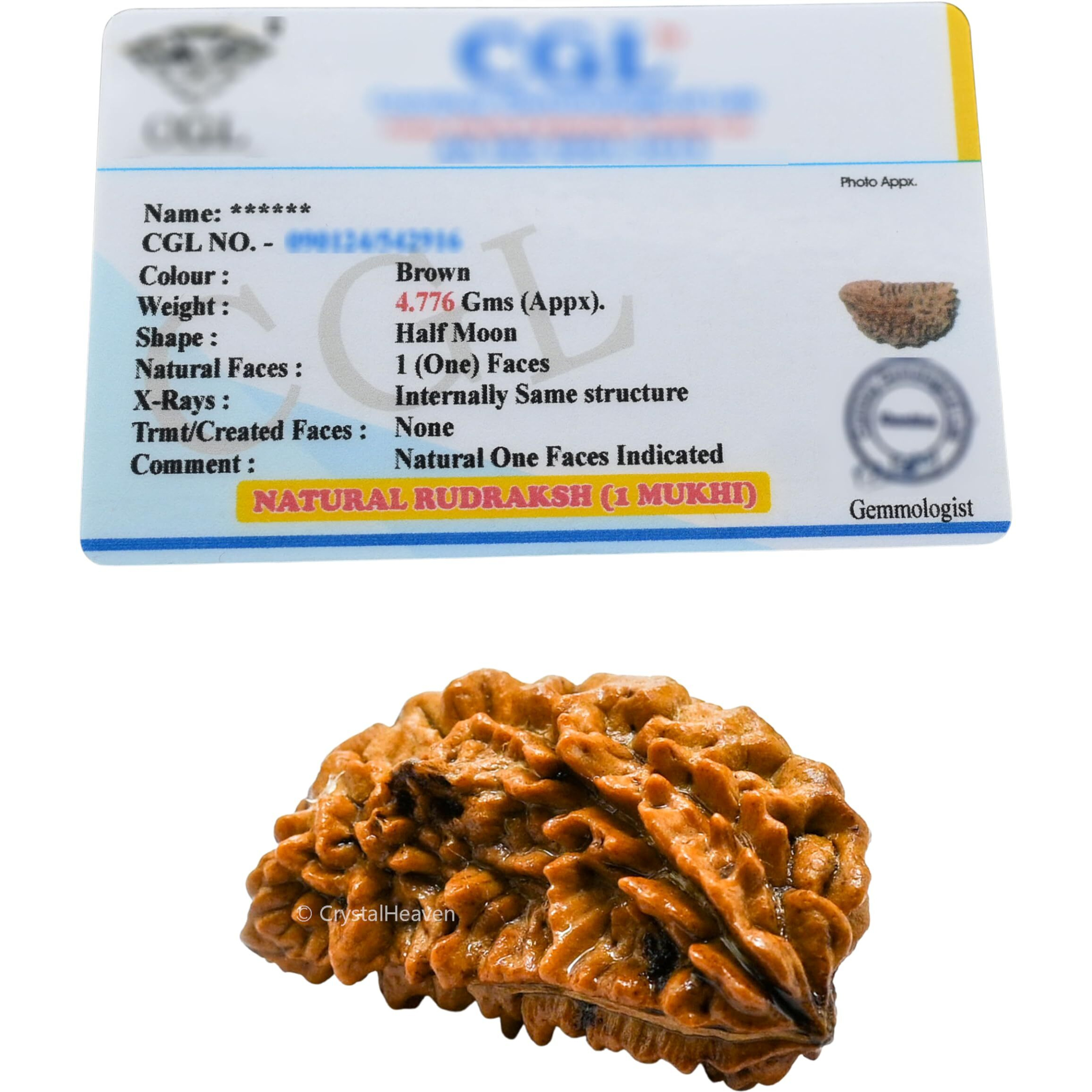 Crystal Heaven 1 Mukhi Rudraksha Original Certified Bead - Natural Nepali 1 Mukhi Rudraks For Meditation And Prayer, Protection, Chakra Balancing, Spiritual Growth And Diy Pooja Supplies