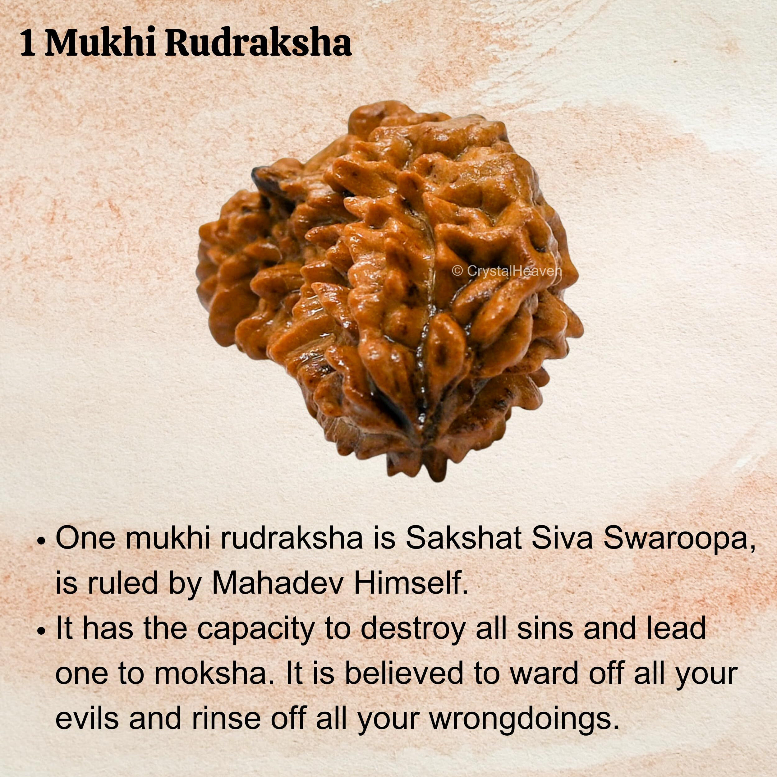 Crystal Heaven 1 Mukhi Rudraksha Original Certified Bead - Natural Nepali 1 Mukhi Rudraks For Meditation And Prayer, Protection, Chakra Balancing, Spiritual Growth And Diy Pooja Supplies