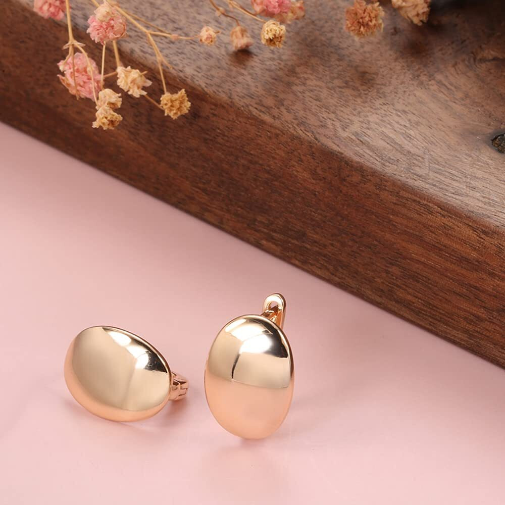 Shining Diva Fashion 18k Rose Gold Plated Latest Fancy Stylish Copper Zircon Earrings for Women and Girls (rrsd14471er)