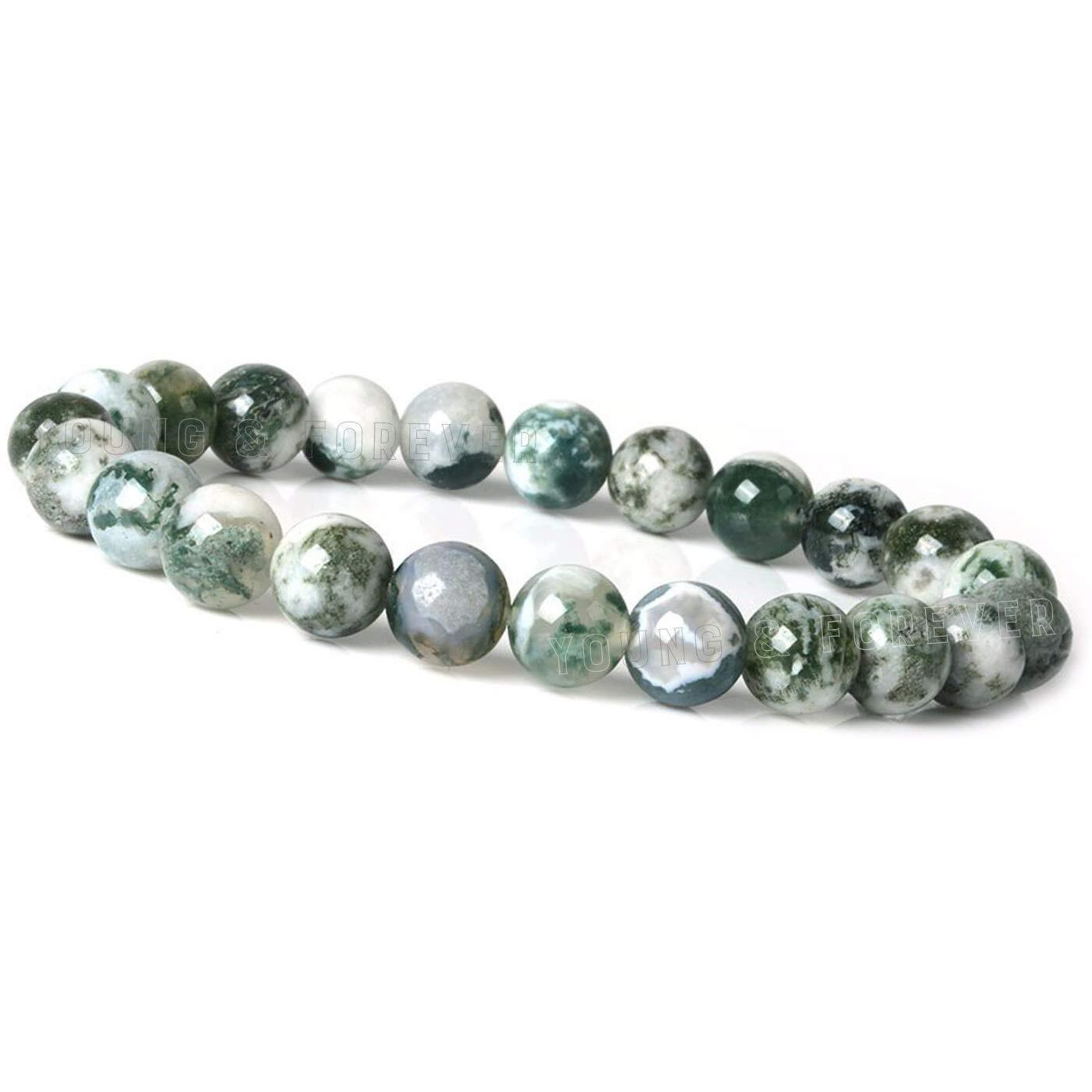Young & Forever Gift Certified Reiki Crystal Semi Precious Gemstone Tree Agate Bracelet Growth and Abundance Energy Healing Stone Stretch Bracelet for Men and Women