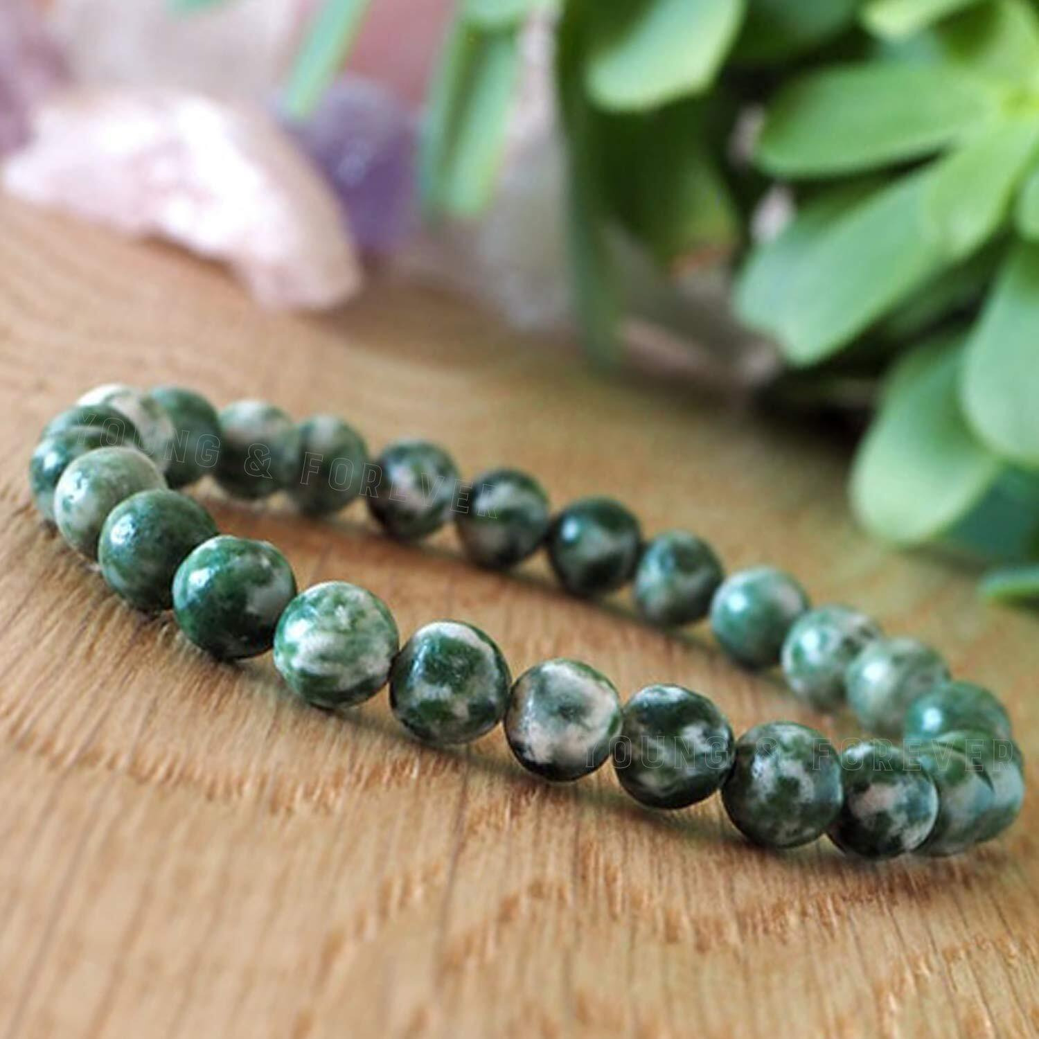 Young & Forever Gift Certified Reiki Crystal Semi Precious Gemstone Tree Agate Bracelet Growth and Abundance Energy Healing Stone Stretch Bracelet for Men and Women