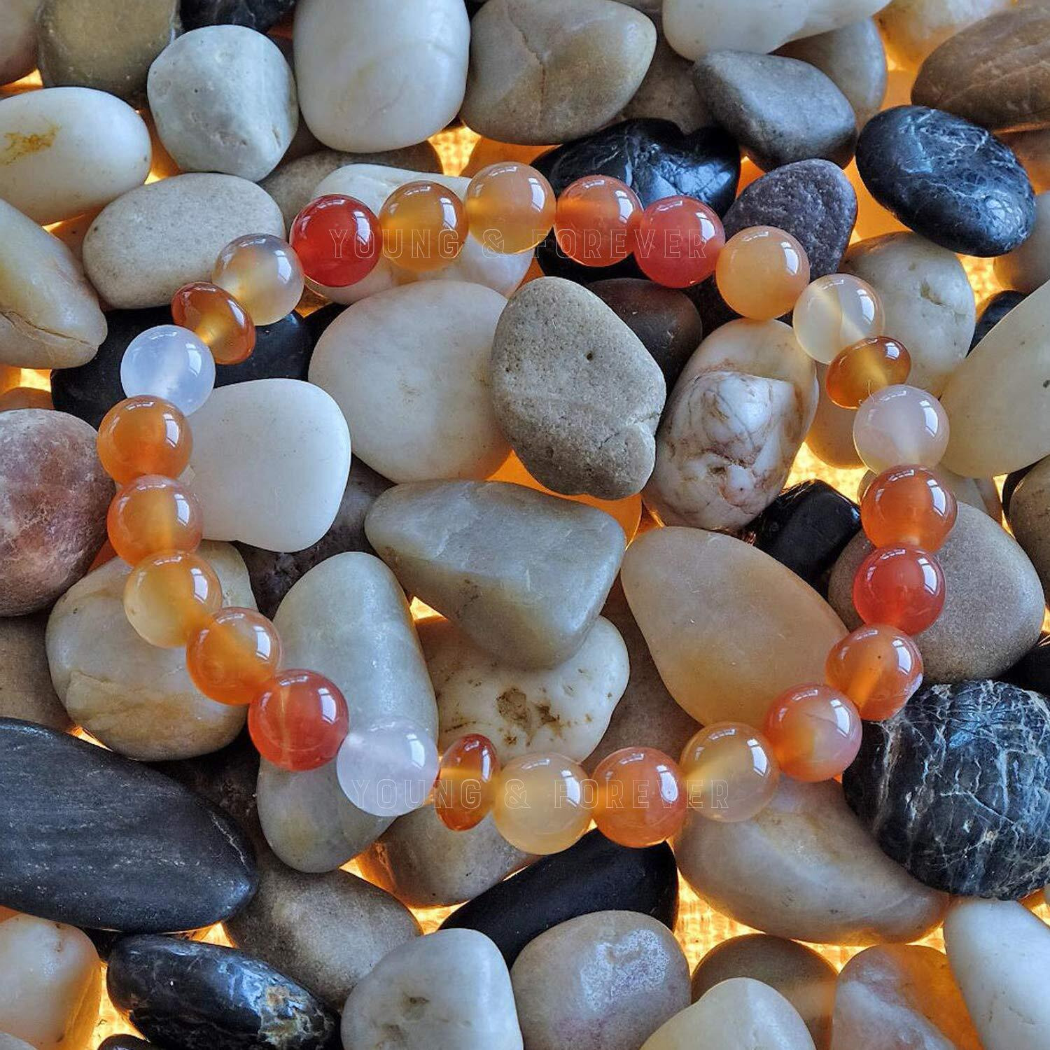 Young & Forever Gift Certified Reiki Crystal Semi Precious Gemstone Natural Carnelian Bracelet for Healing Natural Stone Stretch Bracelet for Men and Women