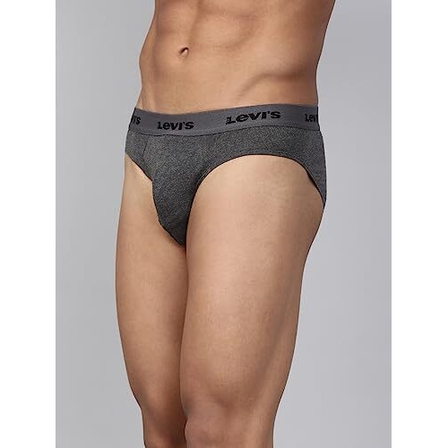 Levis Mens Cotton Style 009 Neo Regular Fit Solid Brief (Pack of 2) (009-BRIEF-LT GMEL-P2_Lt, Dk. Grey Melange_L)