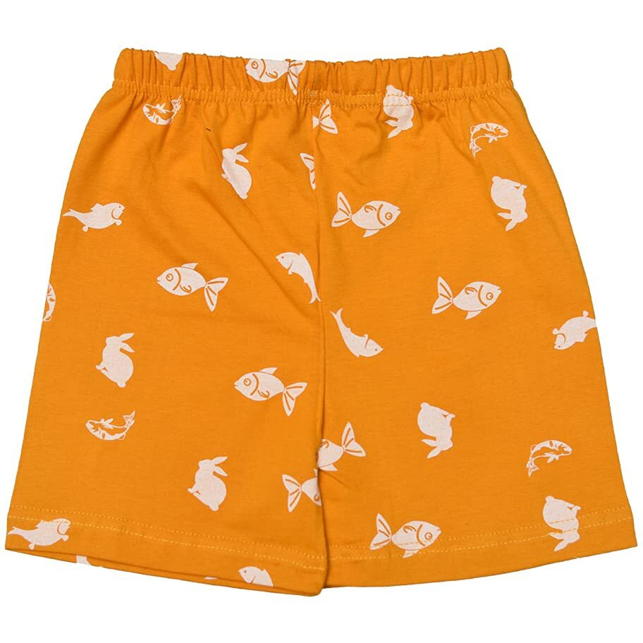 T2F Girl's Shorts (GLS-SHRTS-02_Multicolor 1_5-6 Years)
