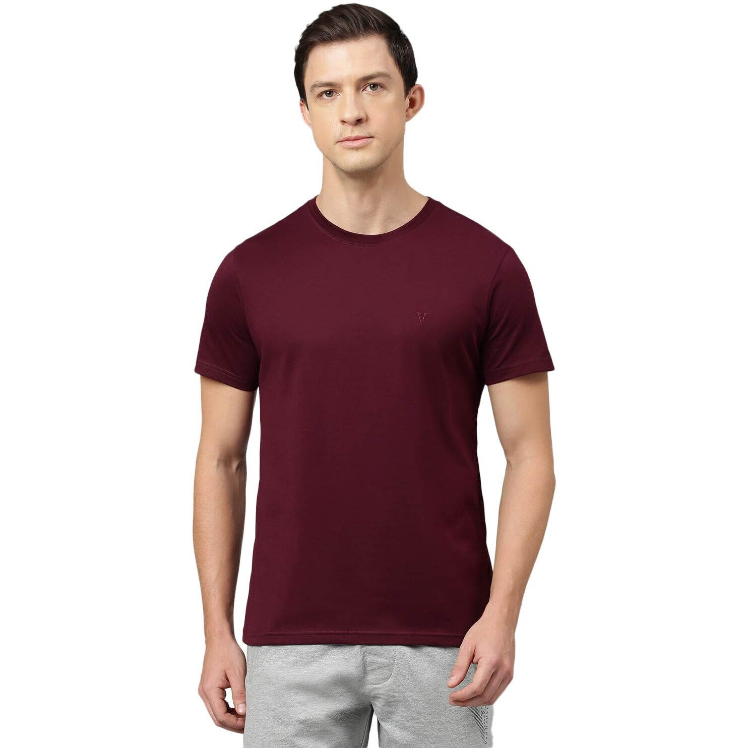 Van Heusen Men's Solid Regular Fit T-Shirt (IHTS1LPWE60052_Port Wine