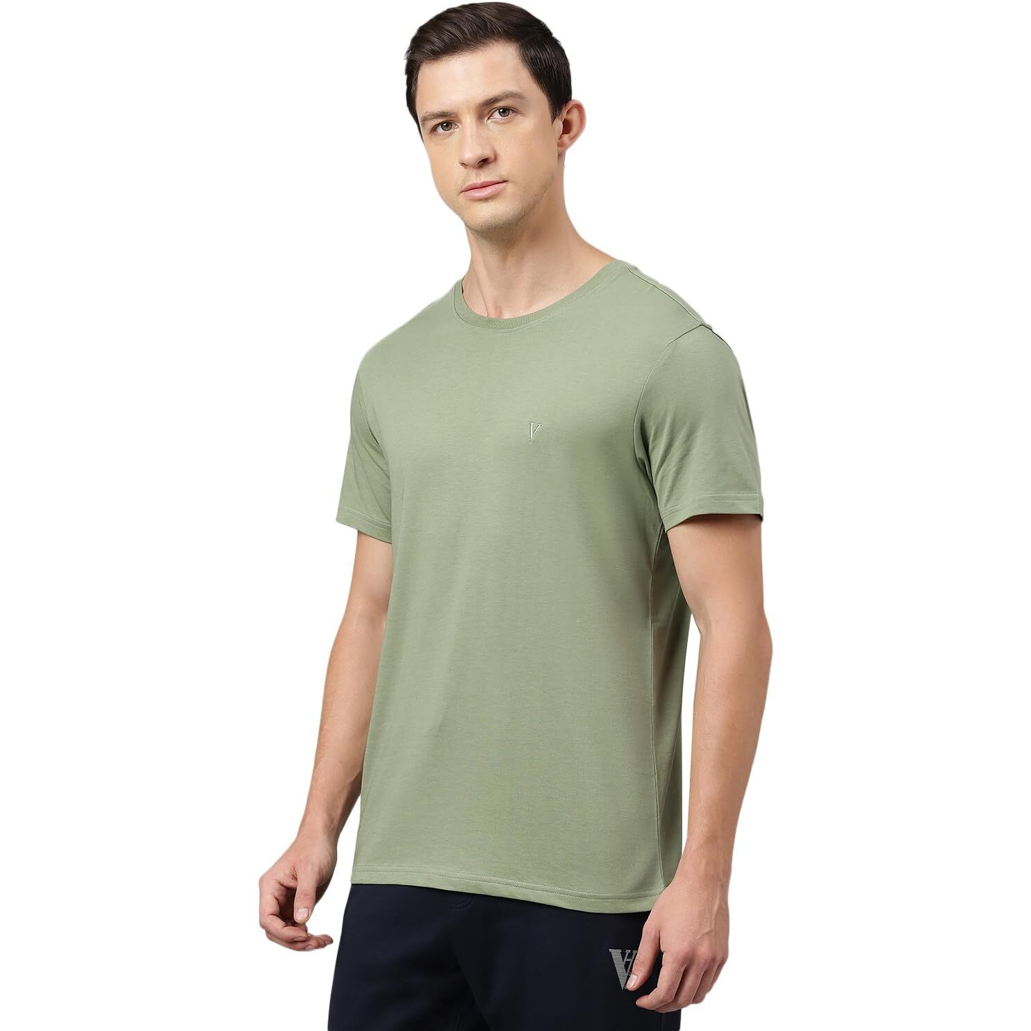 Van Heusen Men's Solid Regular Fit T-Shirt (IHTS1LCGE60052_Cameo Green