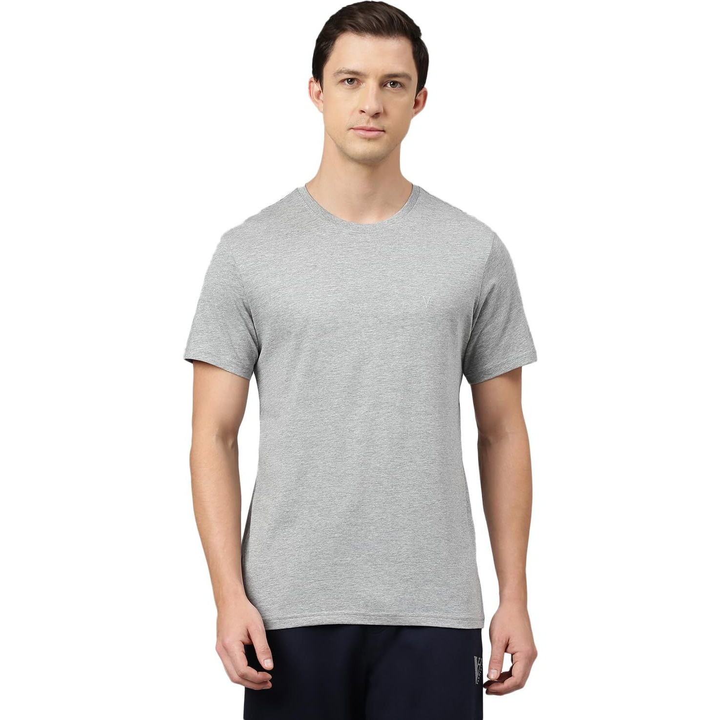 Van Heusen Men's Solid Regular Fit T-Shirt (IHTS1LGME60052_Grey Melange