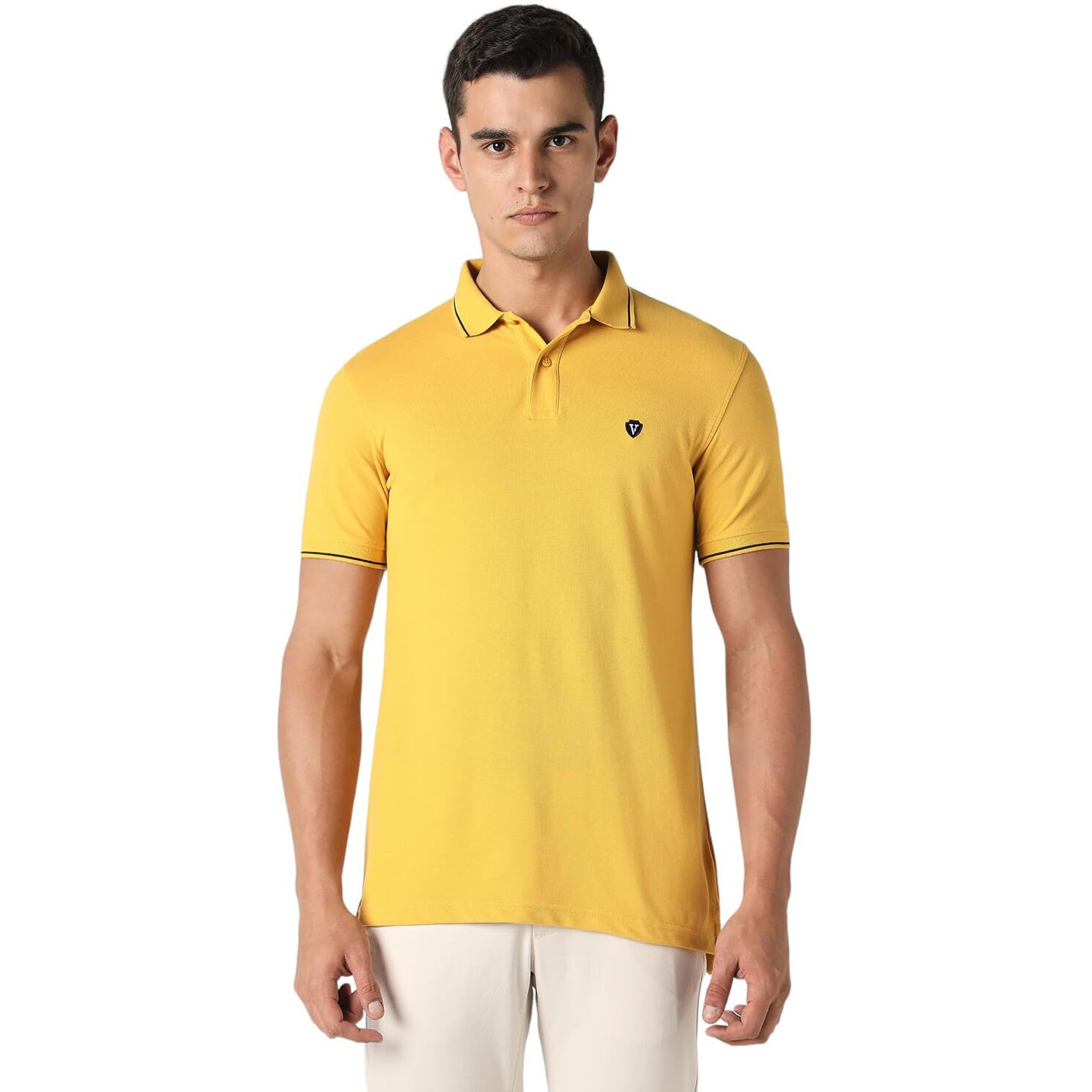 Van Heusen Men's Regular Fit Polo T-Shirt (VSKPWRGF249623_Yellow M)