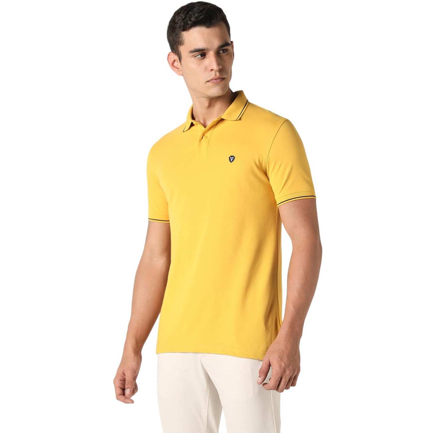 Van Heusen Men's Regular Fit Polo T-Shirt (VSKPWRGF249623_Yellow M)