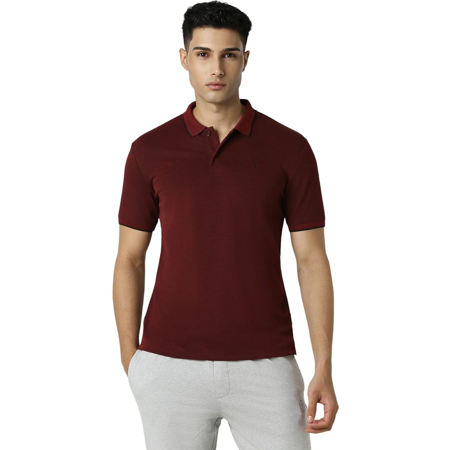 Van Heusen Flex Men's Regular Fit Polo Shirt (VFKPARGF628812_Maroon
