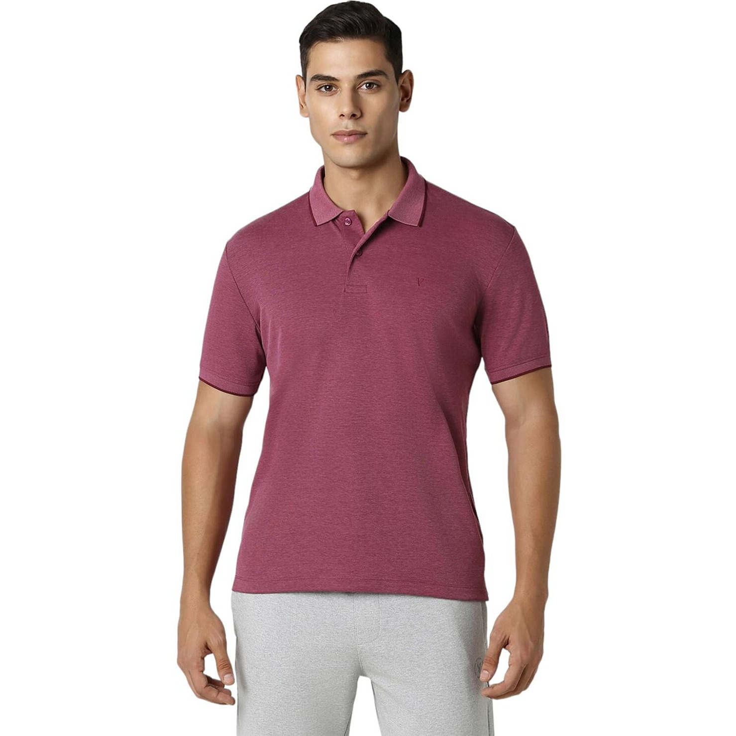 Van Heusen Flex Men's Regular Fit Polo Shirt (VFKPARGFW30810_Pink
