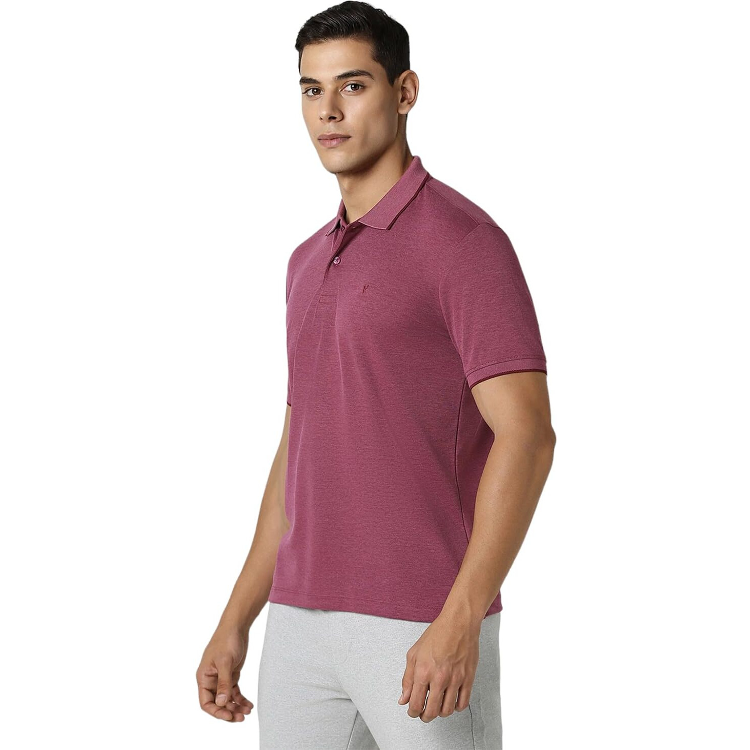 Van Heusen Flex Men's Regular Fit Polo Shirt (VFKPARGFW30810_Pink