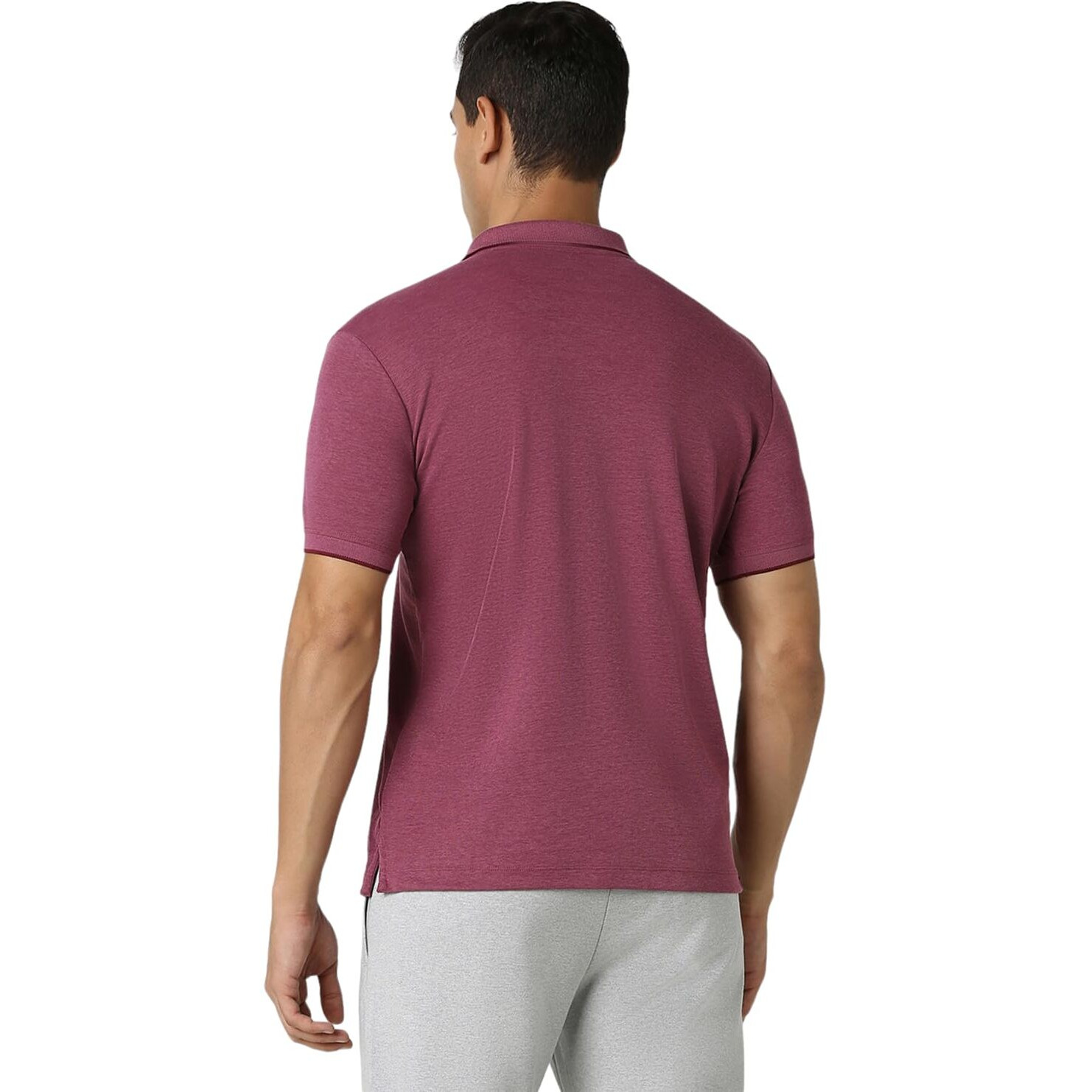 Van Heusen Flex Men's Regular Fit Polo Shirt (VFKPARGFW30810_Pink